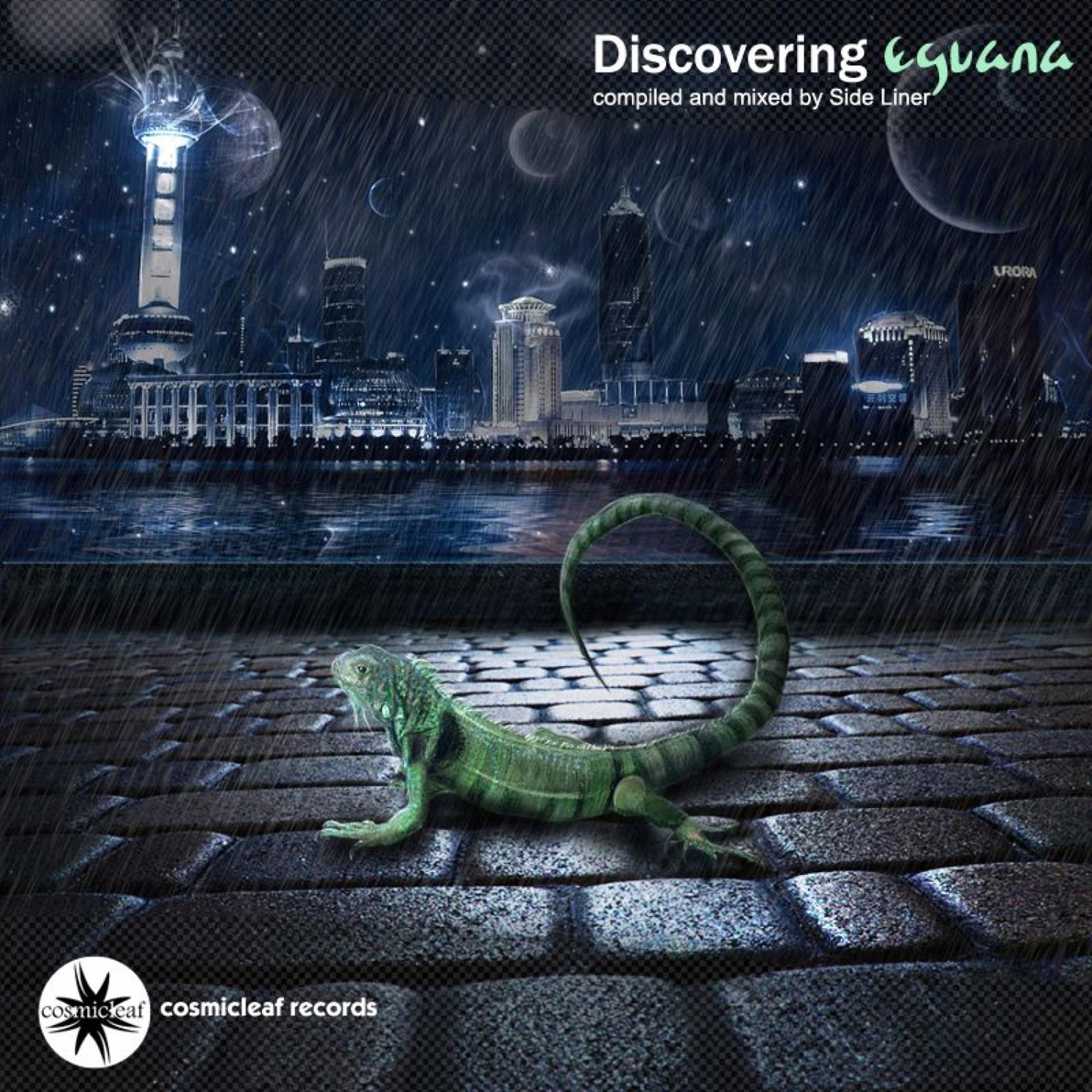 Постер альбома Discovering Eguana
