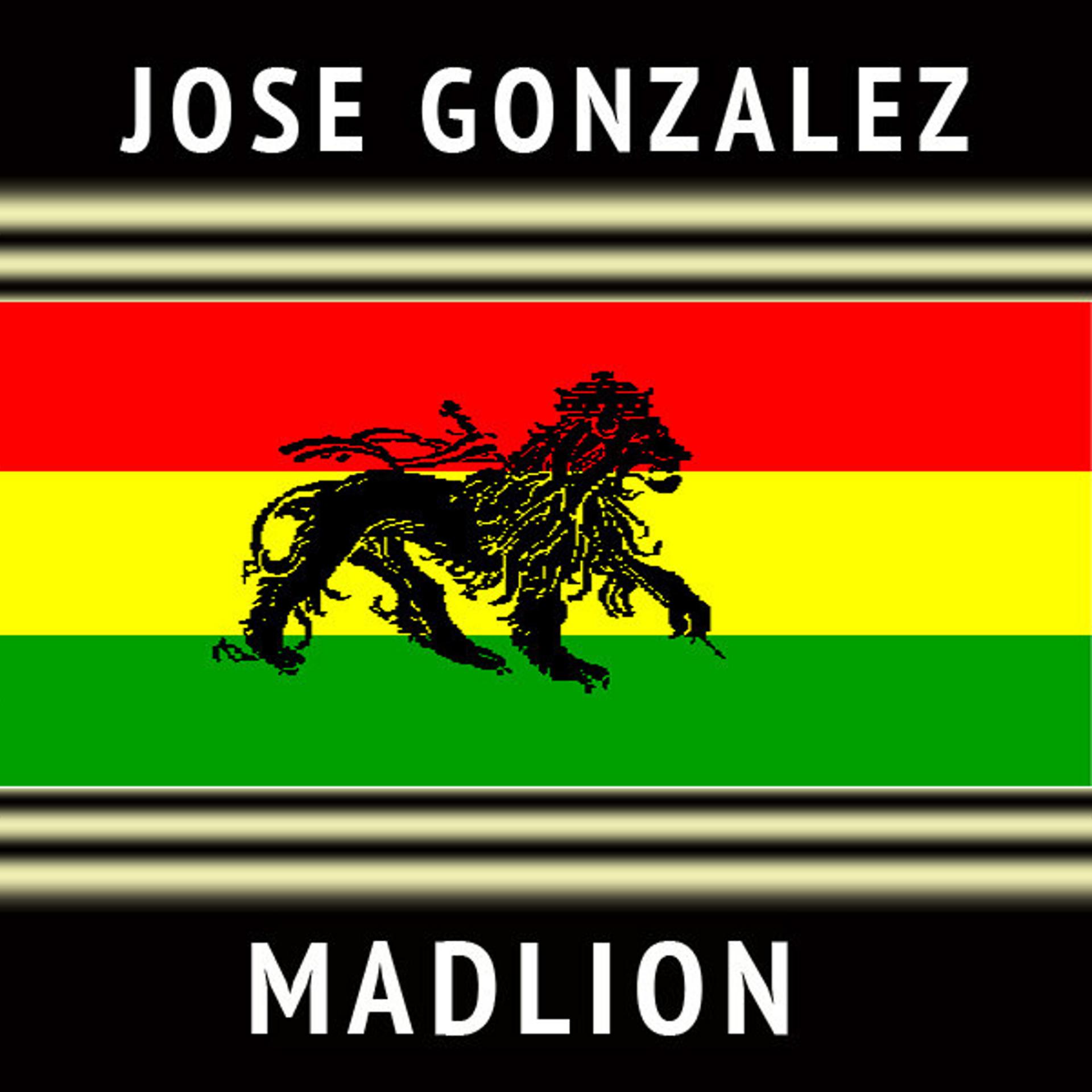 Постер альбома Madlion