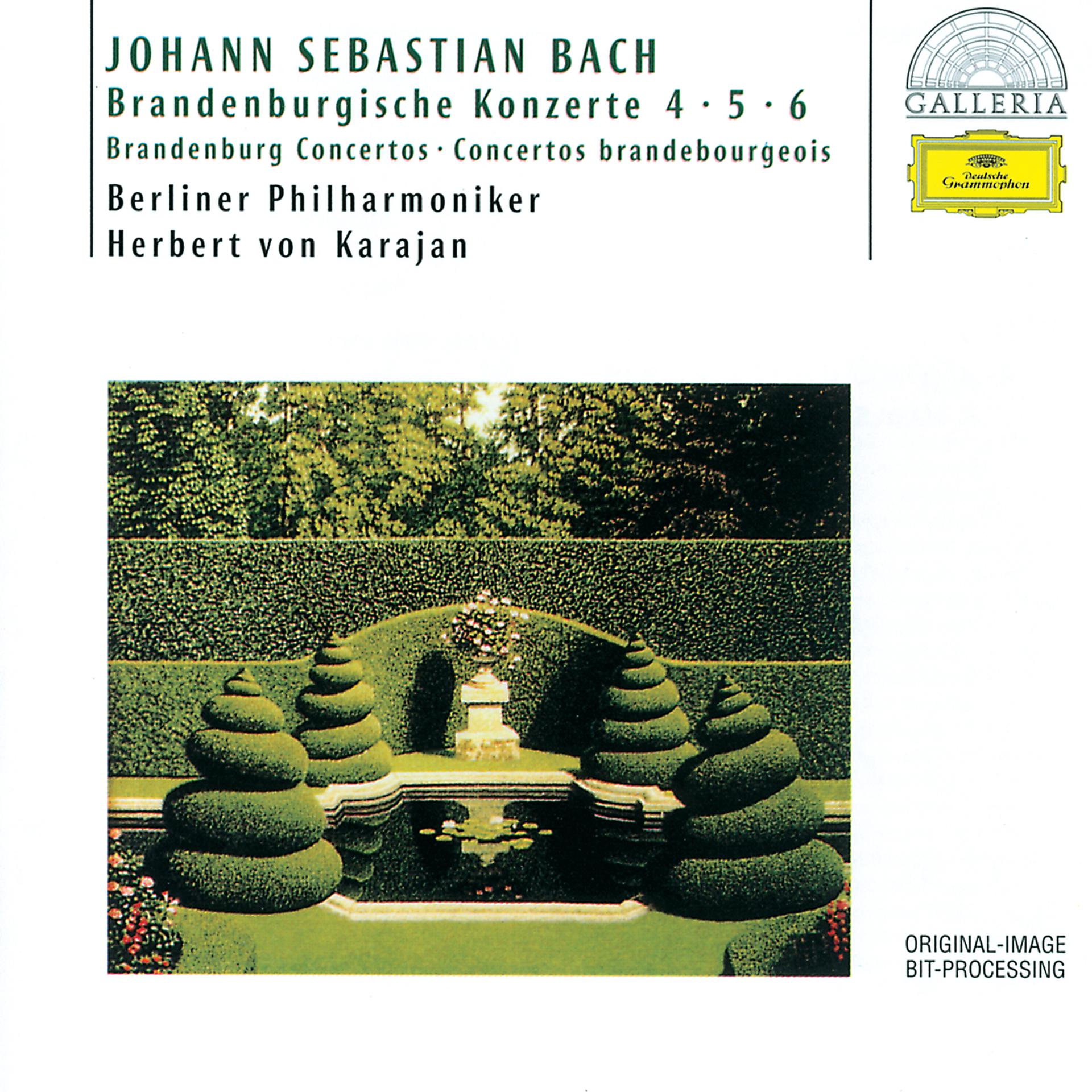Постер альбома Bach, J.S.: Brandenburg Concertos Nos.4, 5 & 6