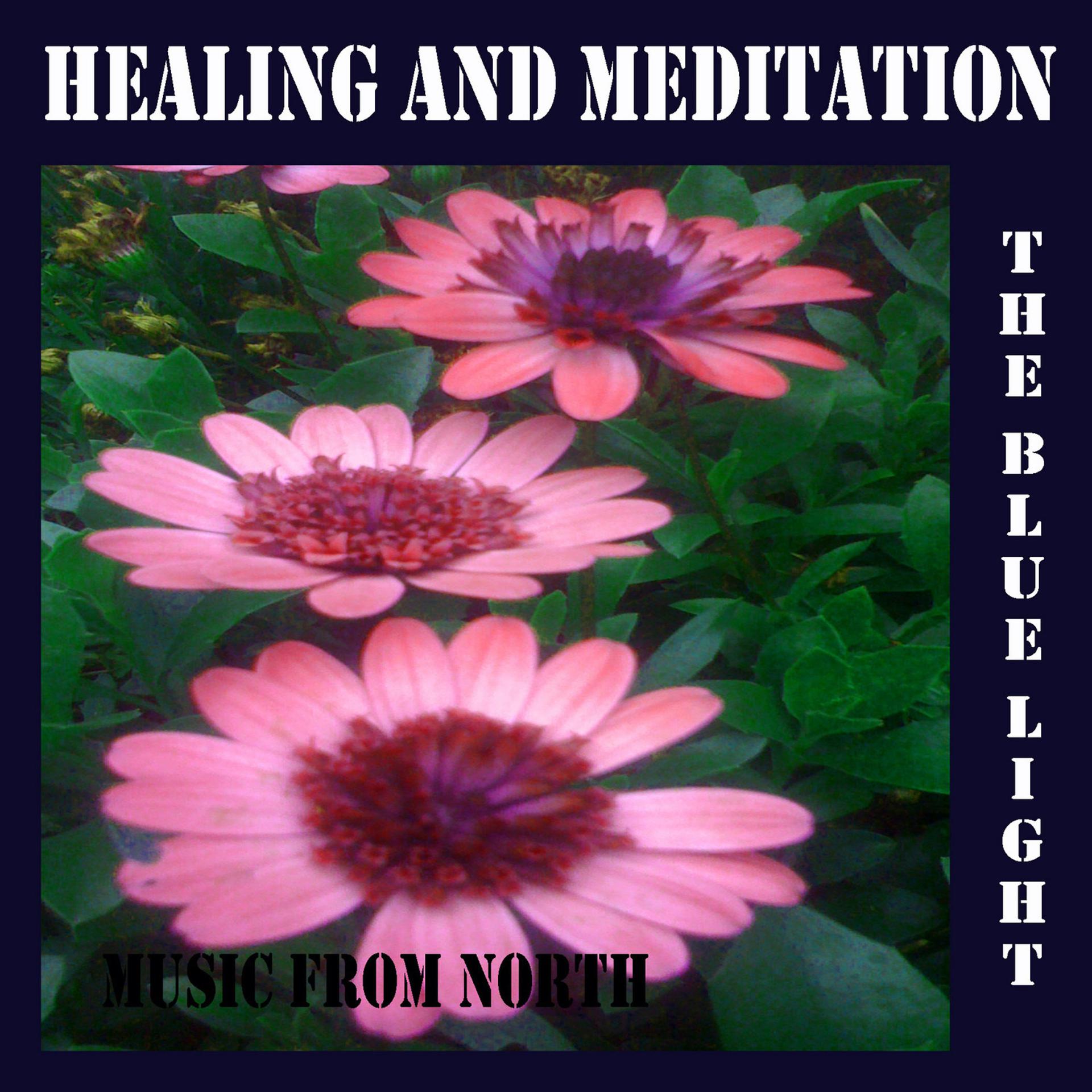 Постер альбома Healing and Meditation