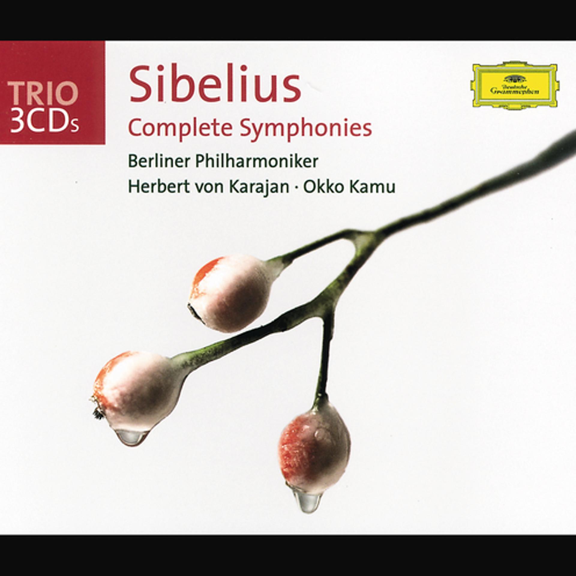 Постер альбома Sibelius: Complete Symphonies