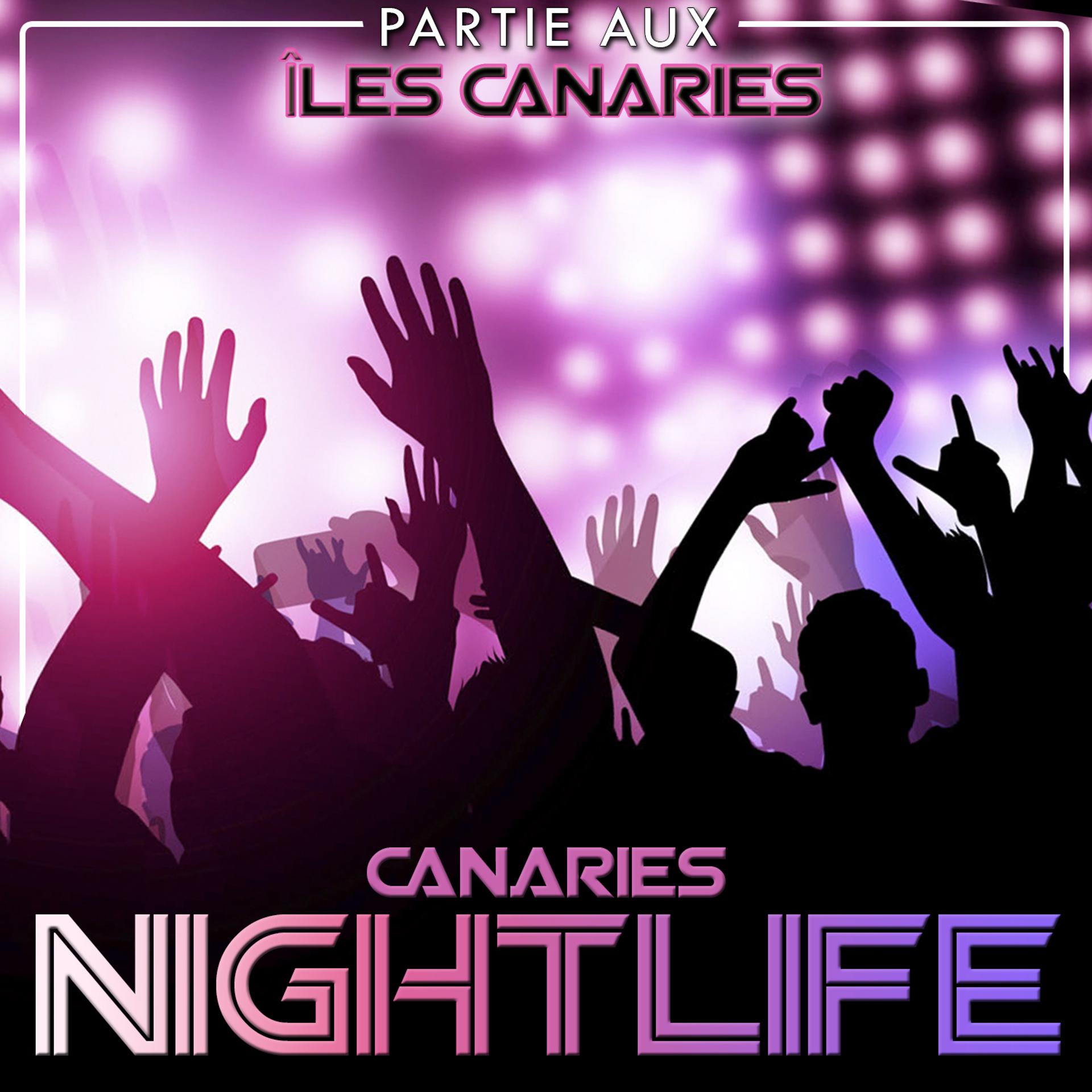 Постер альбома Partie aux îles Canaries. Canaries nightlife