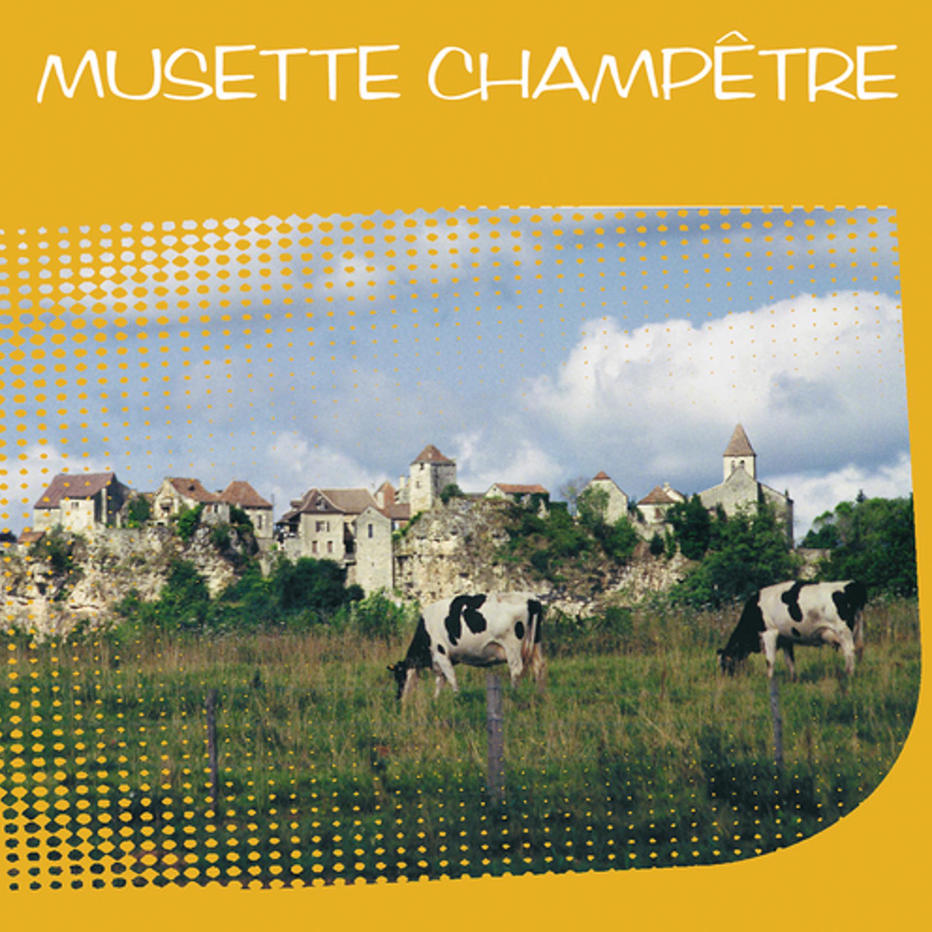 Постер альбома Musette Champetre