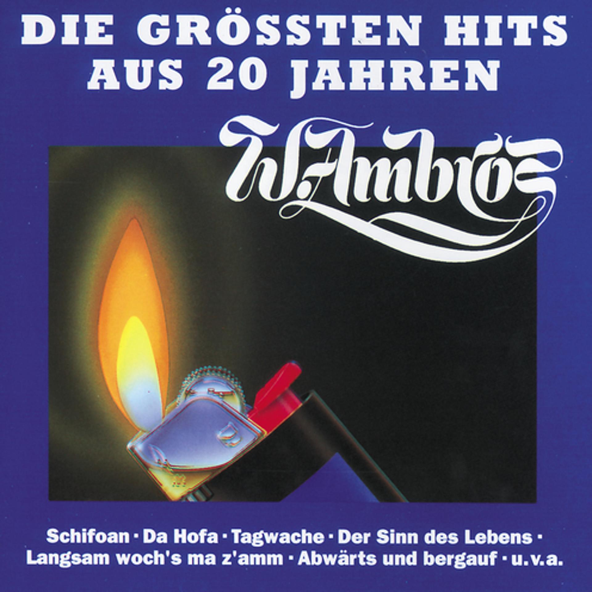 Постер альбома Die Grossten Hits Aus 20 Jahren