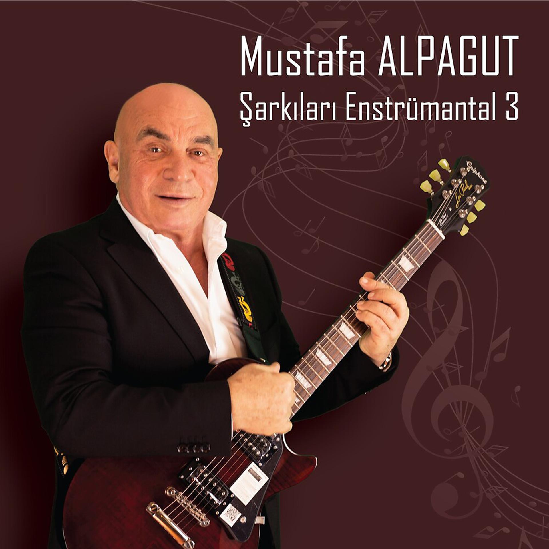 Постер альбома Mustafa Alpagut Şarkıları Enstrümantal 3