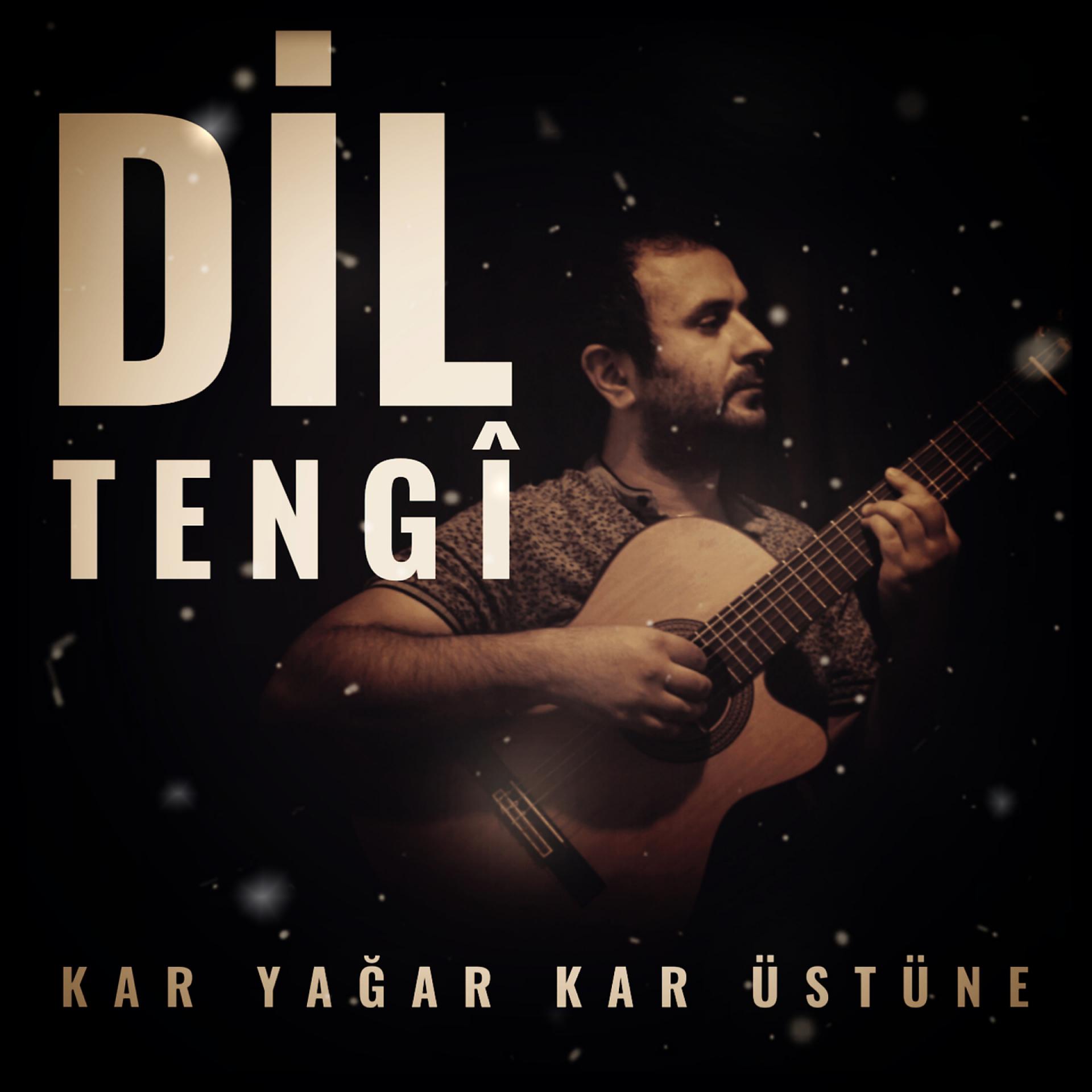 Постер альбома Kar Yağar Kar Üstüne