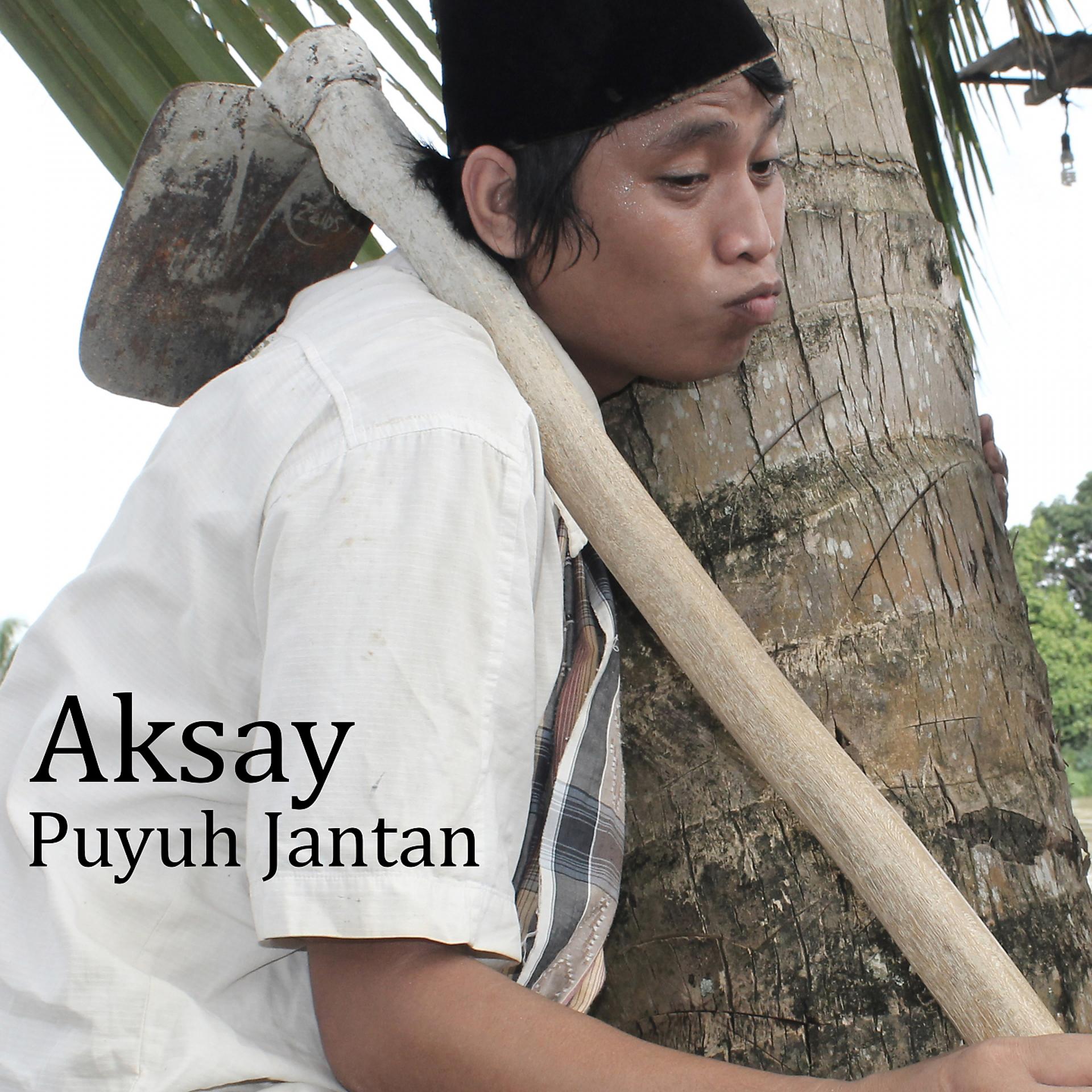 Постер альбома Puyuh Jantan