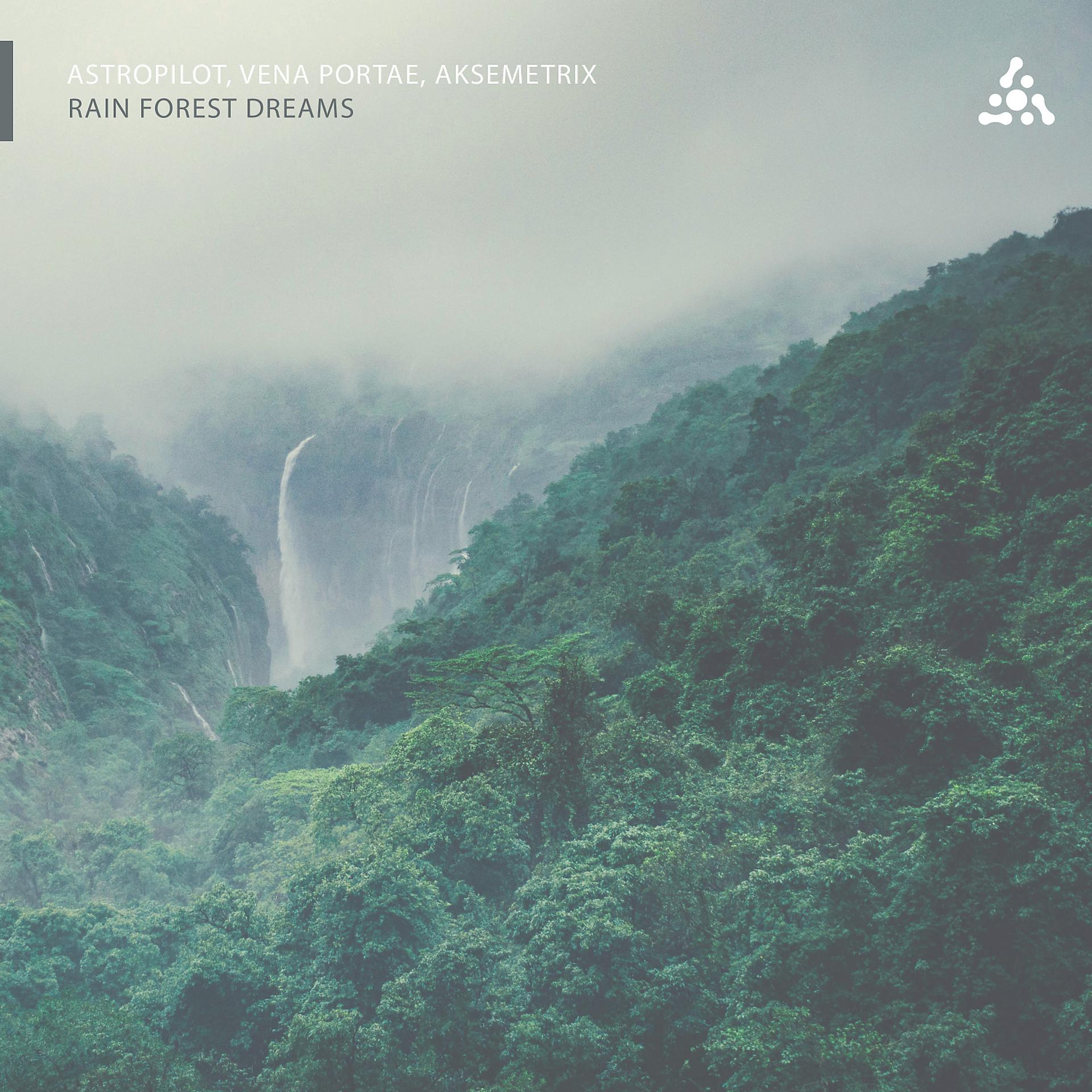 Постер альбома Rain Forest Dreams