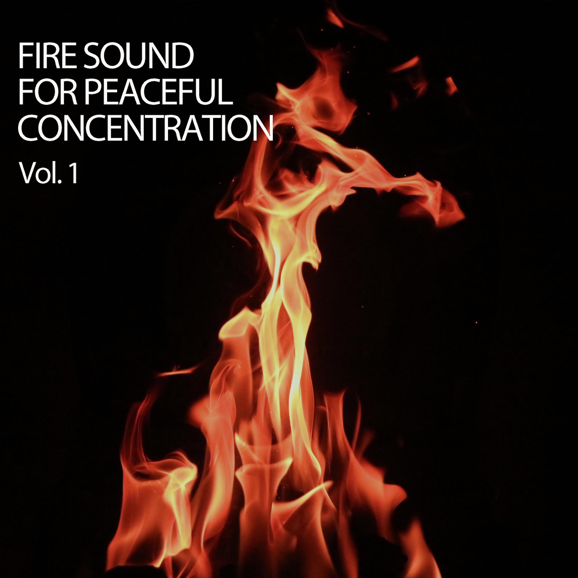 Постер альбома Fire Sound For Peaceful Concentration Vol. 1