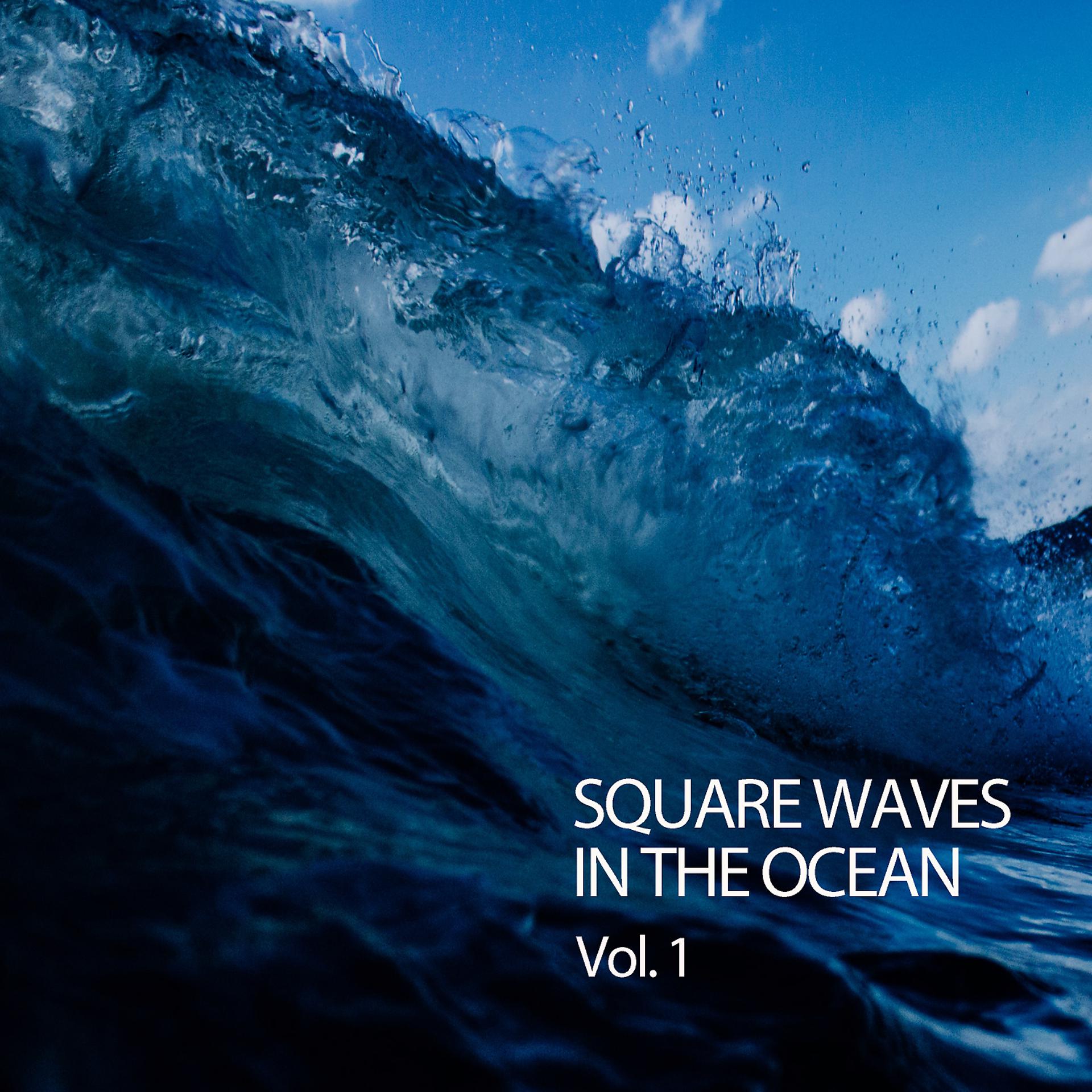Постер альбома Square Waves In The Ocean Vol. 1