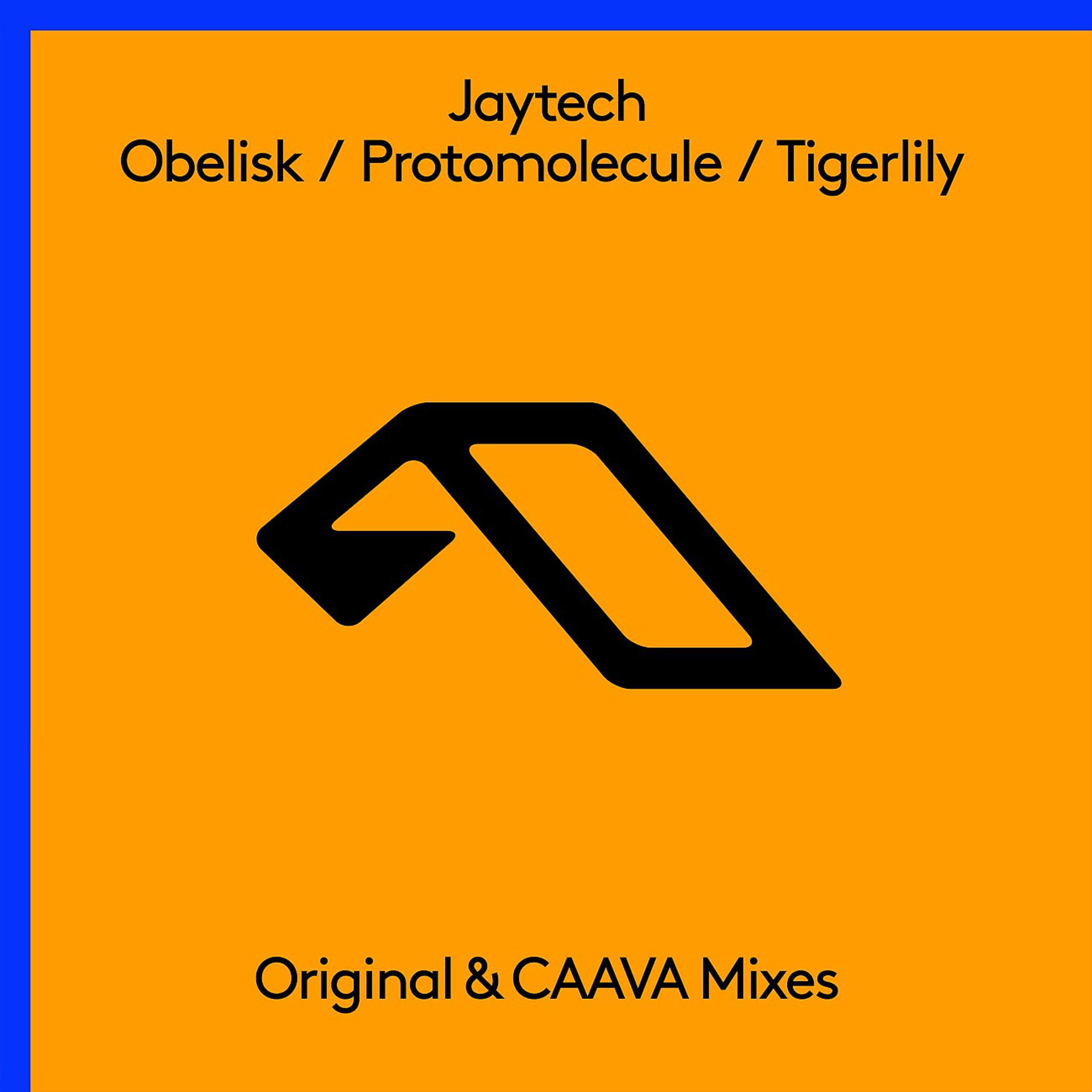 Постер альбома Obelisk / Protomolecule / Tigerlily