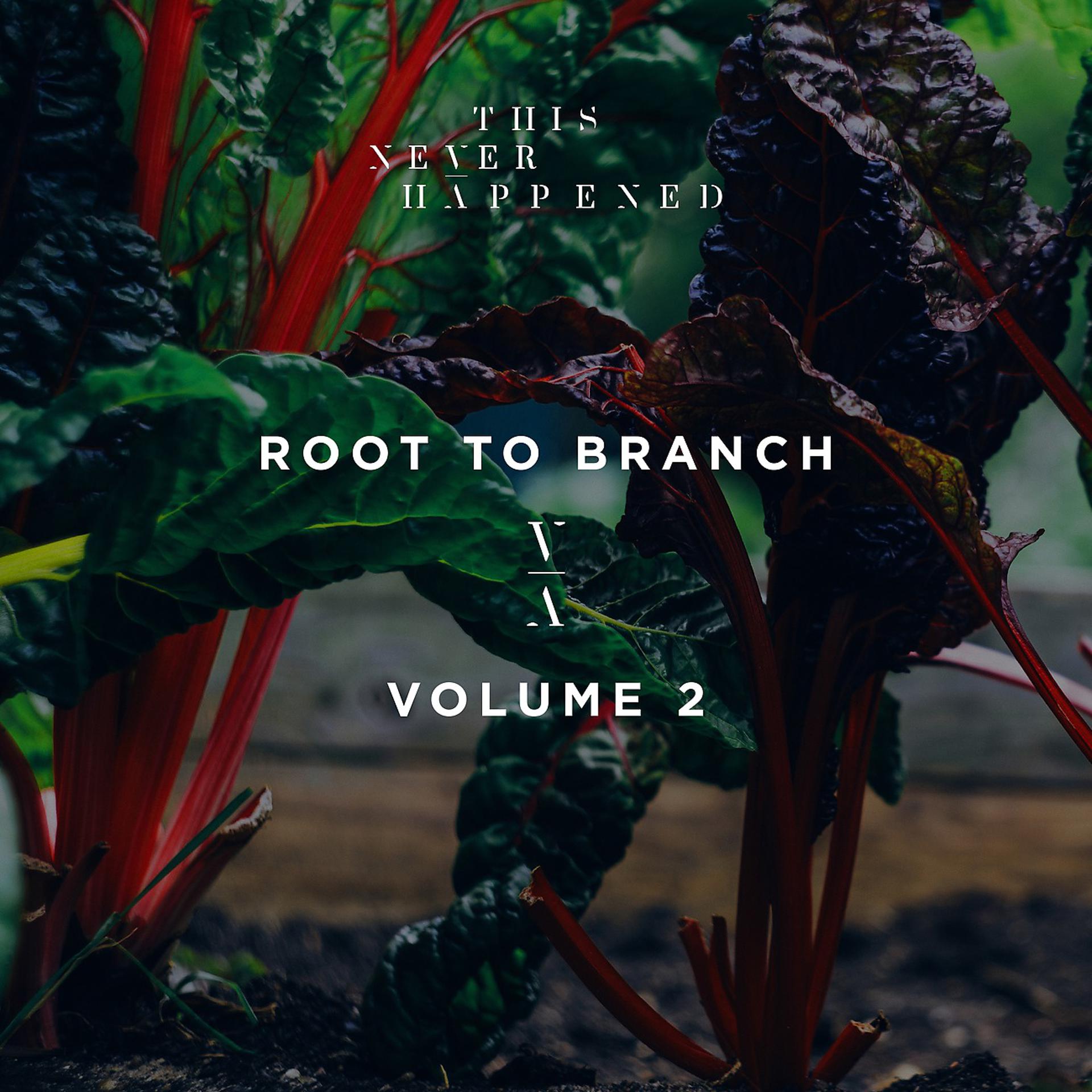 Постер альбома Root to Branch, Vol. 2