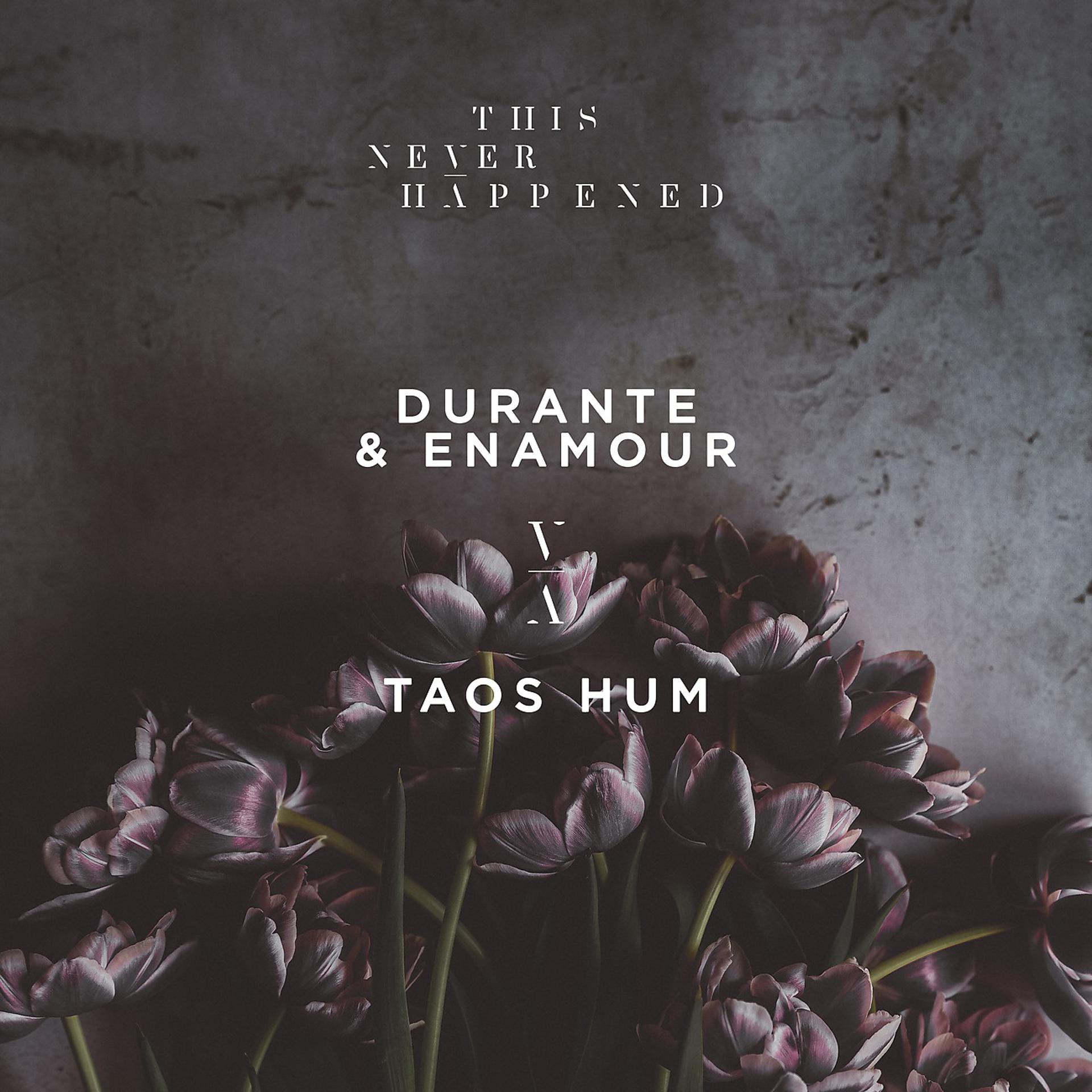 Постер альбома Taos Hum