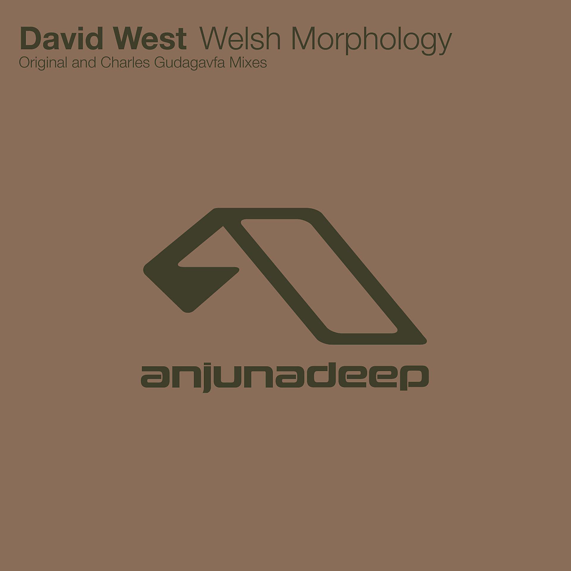 Постер альбома Welsh Morphology