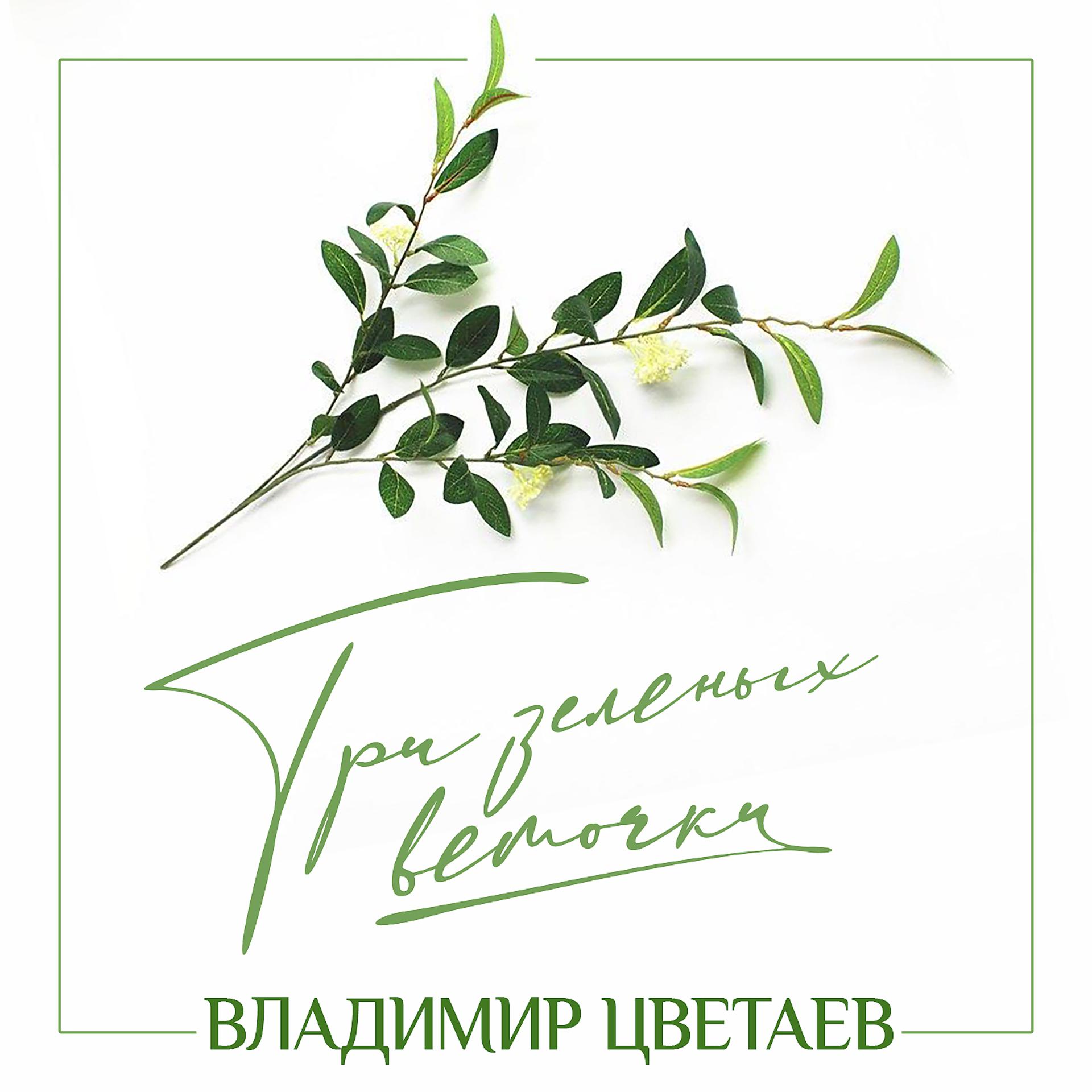 Постер к треку Владимир Цветаев - Три зелёных веточки