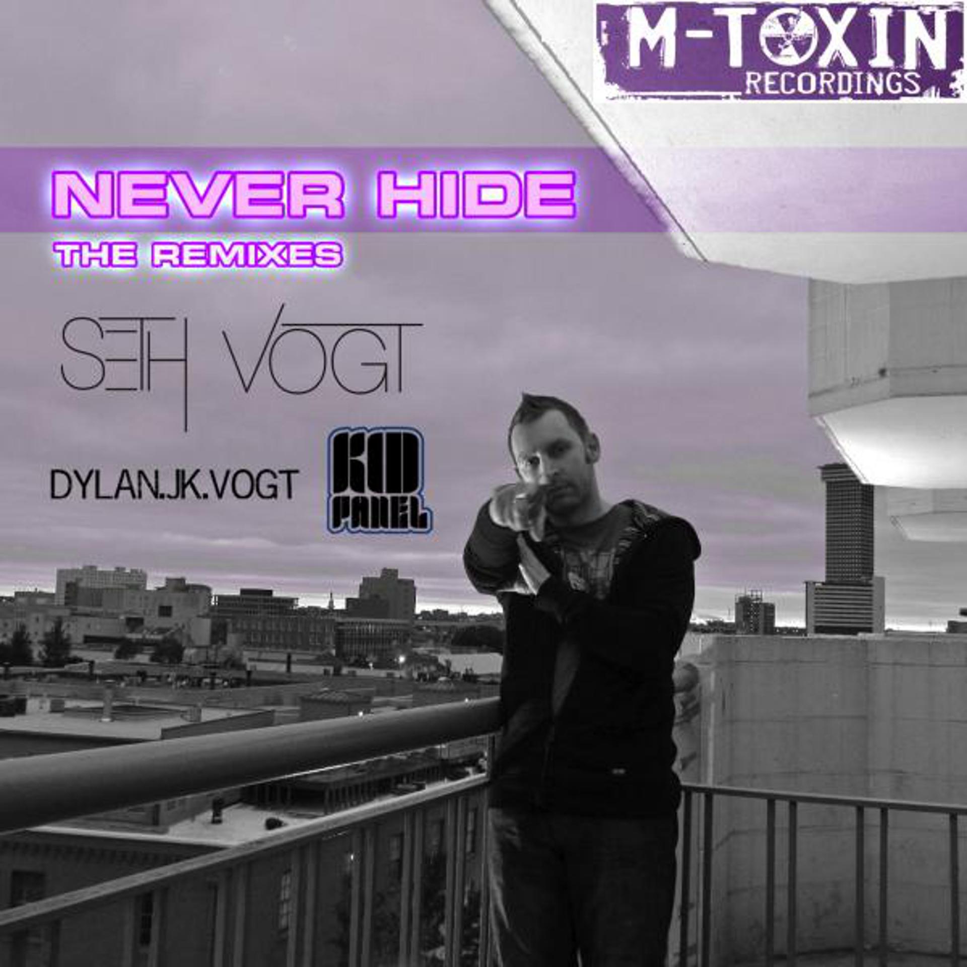 Постер альбома Never Hide (The Remixes)
