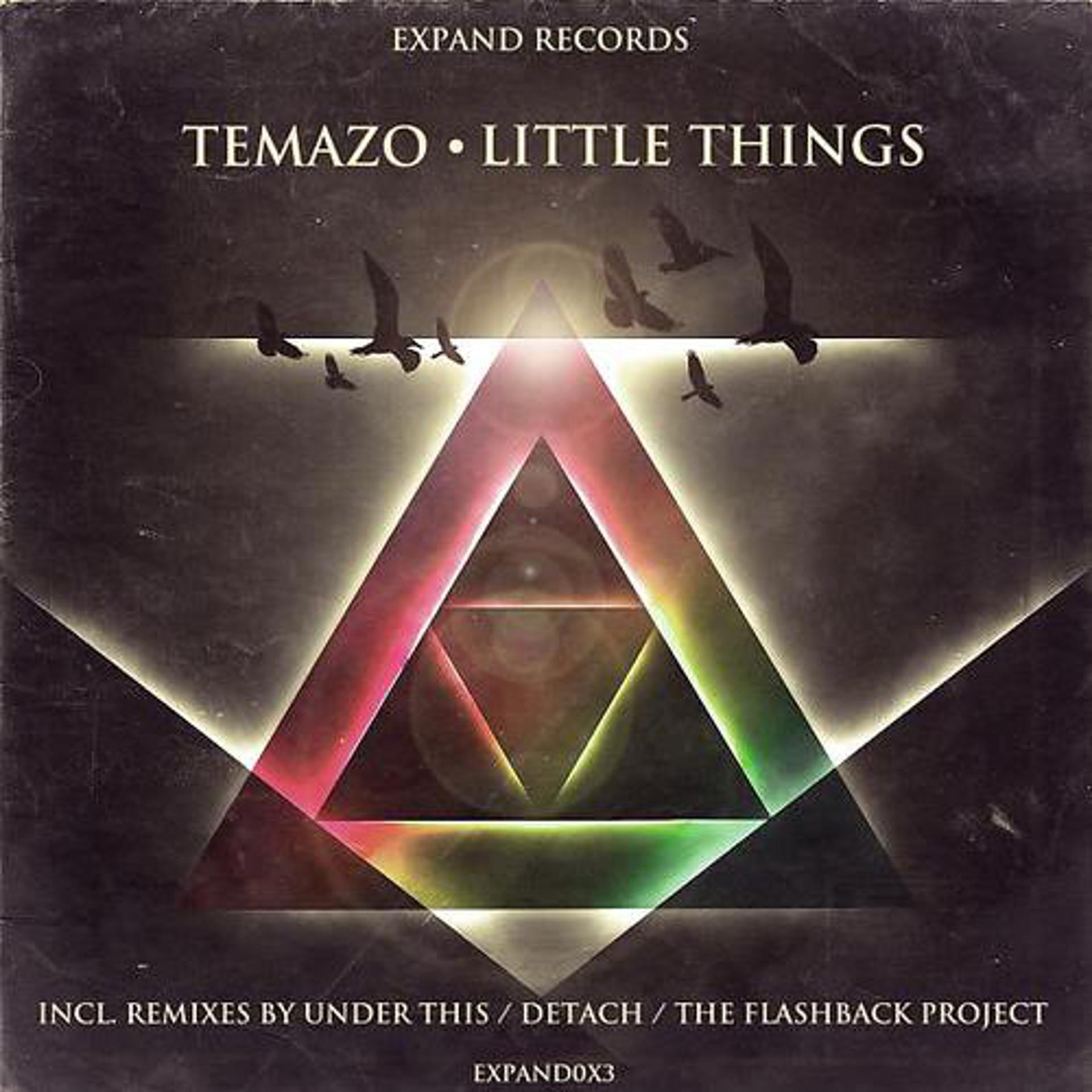 Постер альбома Temazo - Little Things (+Remixes)