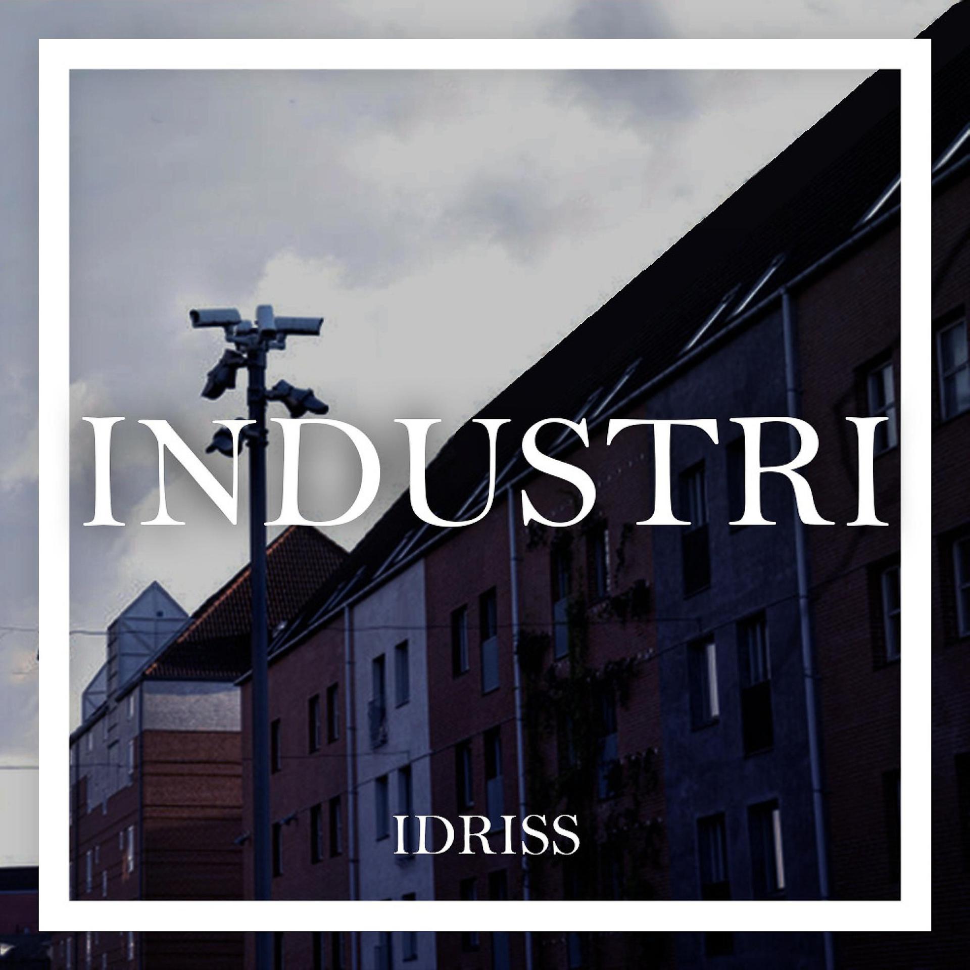 Постер альбома Industri