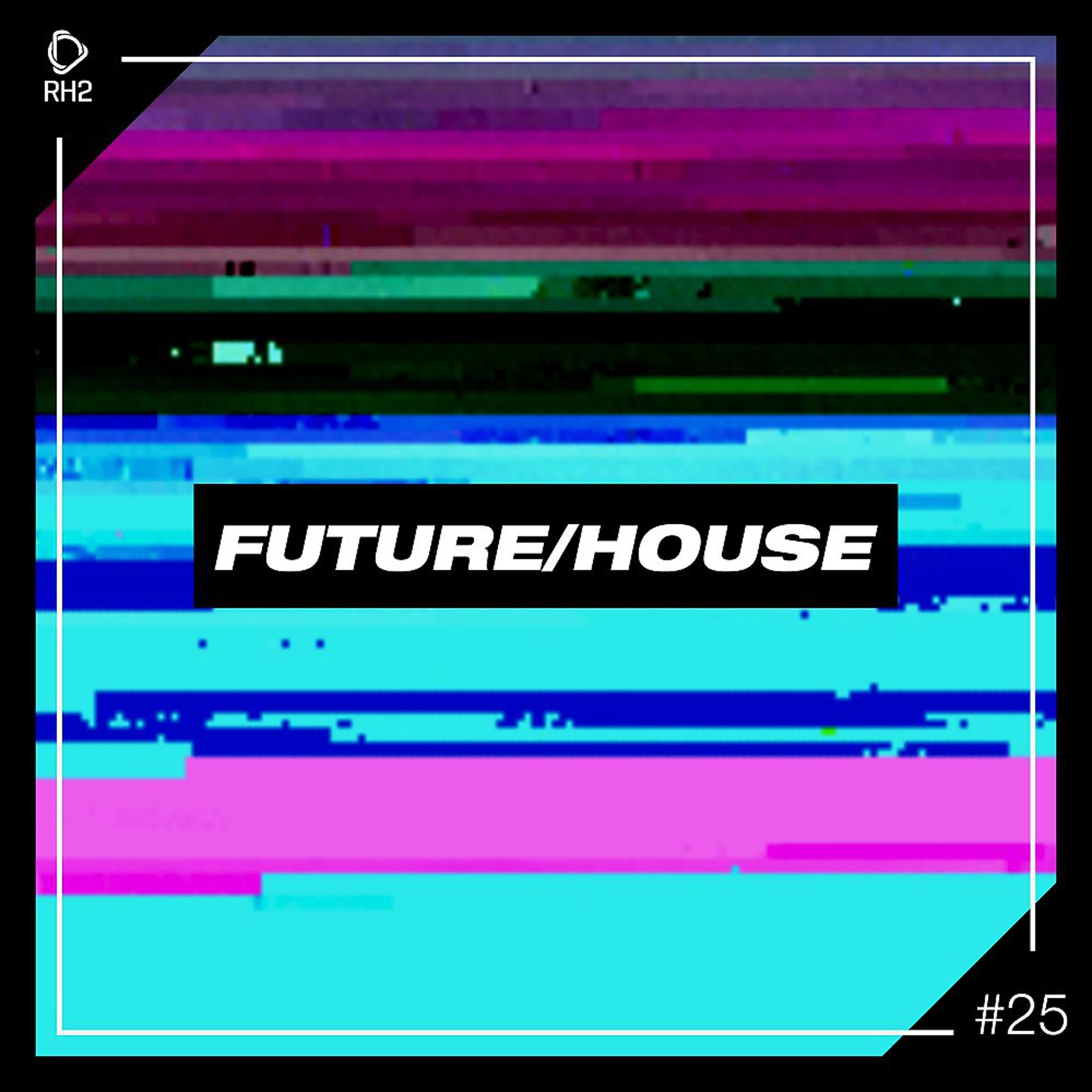 Постер альбома Future/House #25