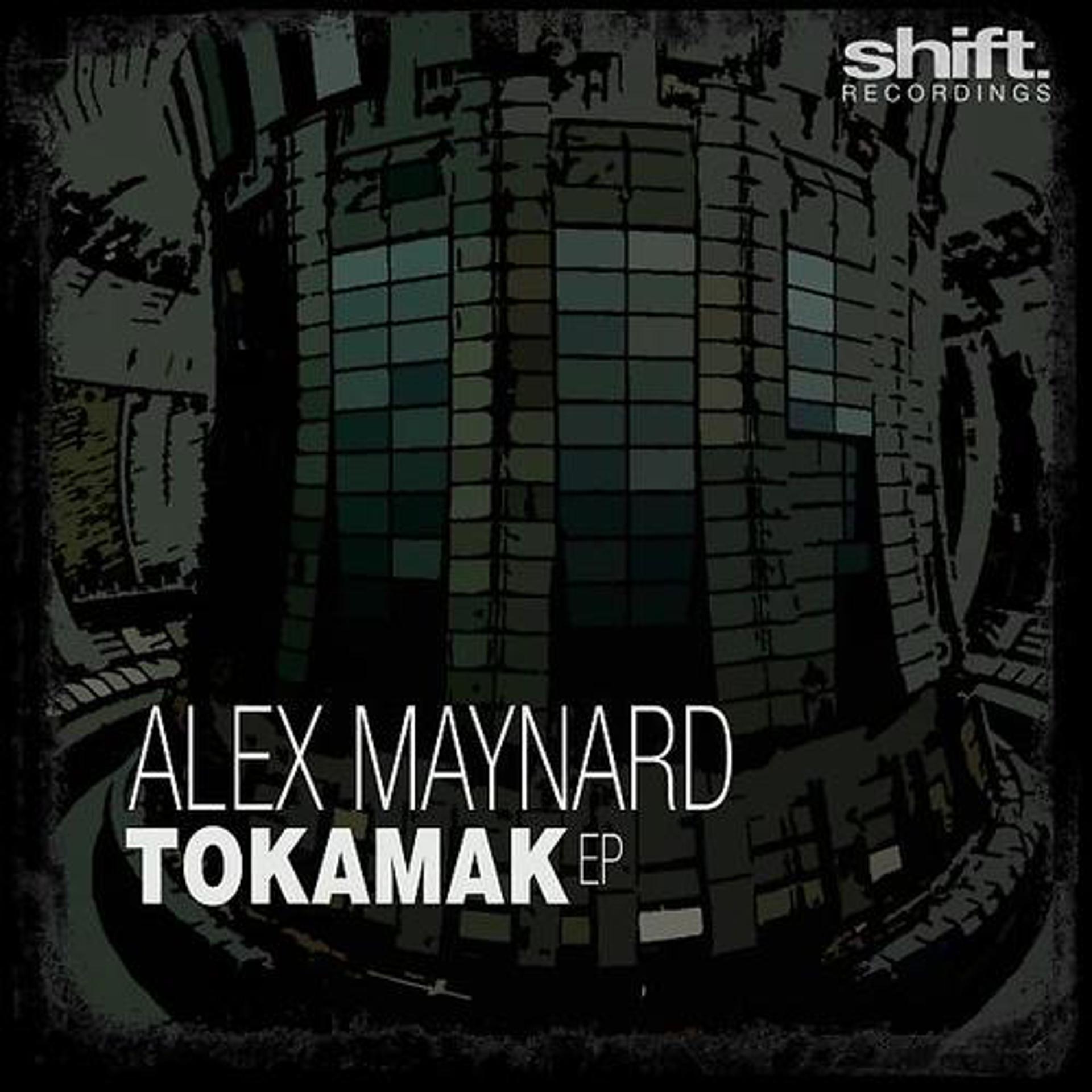 Постер альбома Tokamak EP