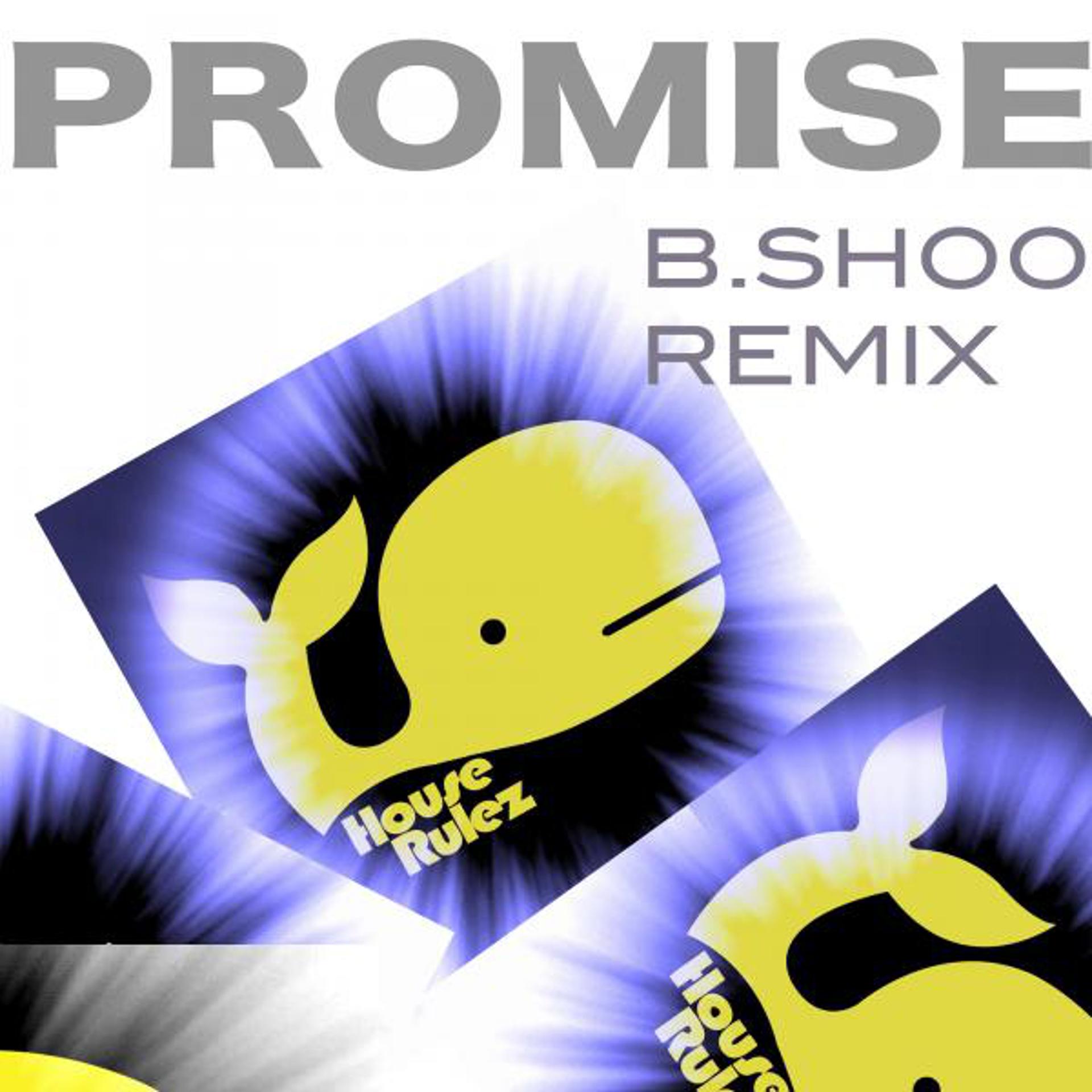 Постер альбома B.Shoo Remix