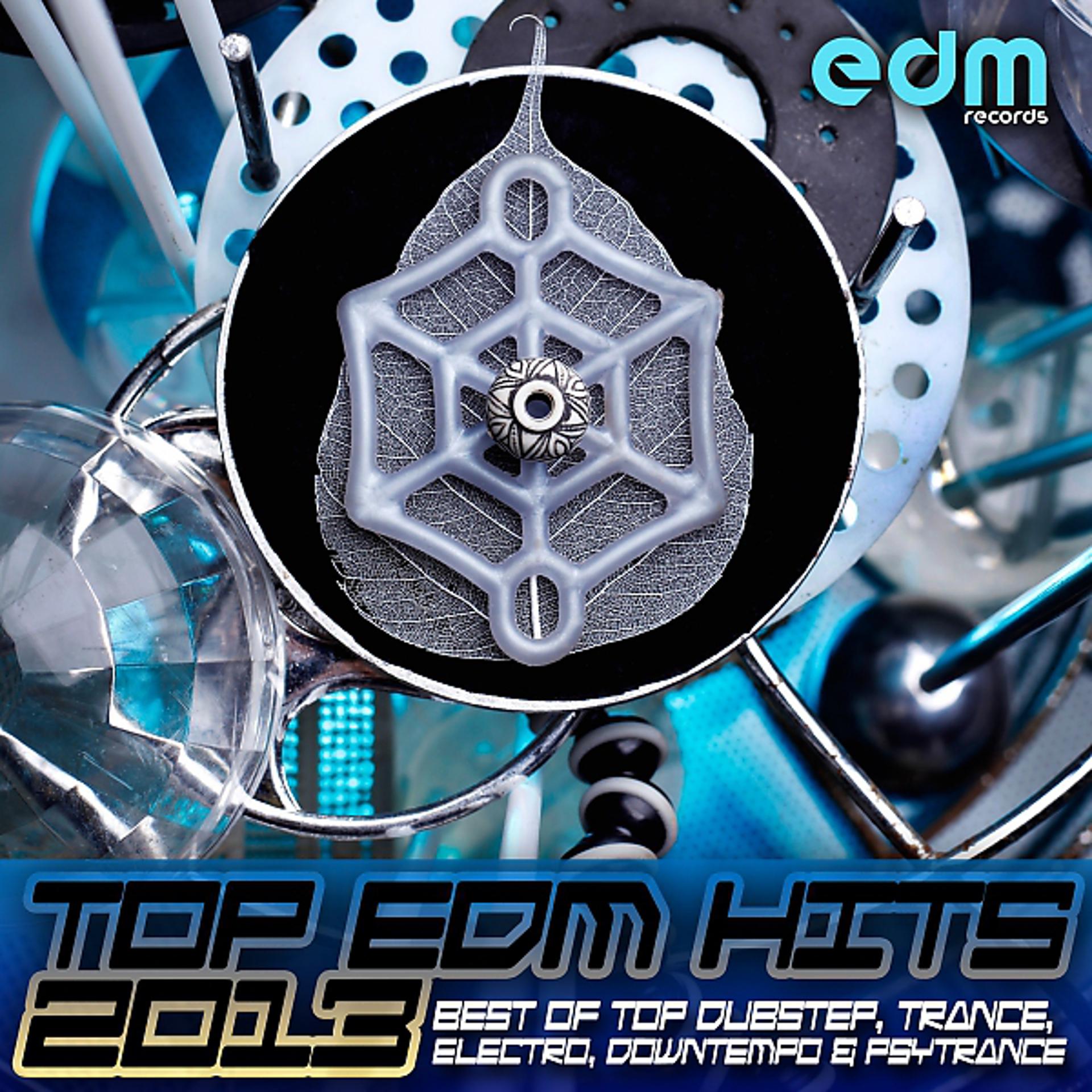 Постер альбома Top EDM Hits 2013 - Best of Top Dubstep, Trance, Electro, Downtempo & Psytrance