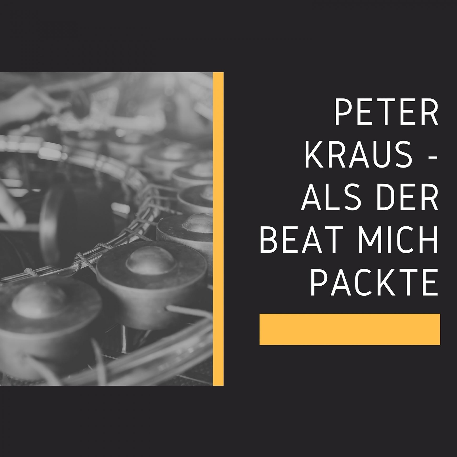 Постер альбома Peter Kraus - Als der Beat mich packte