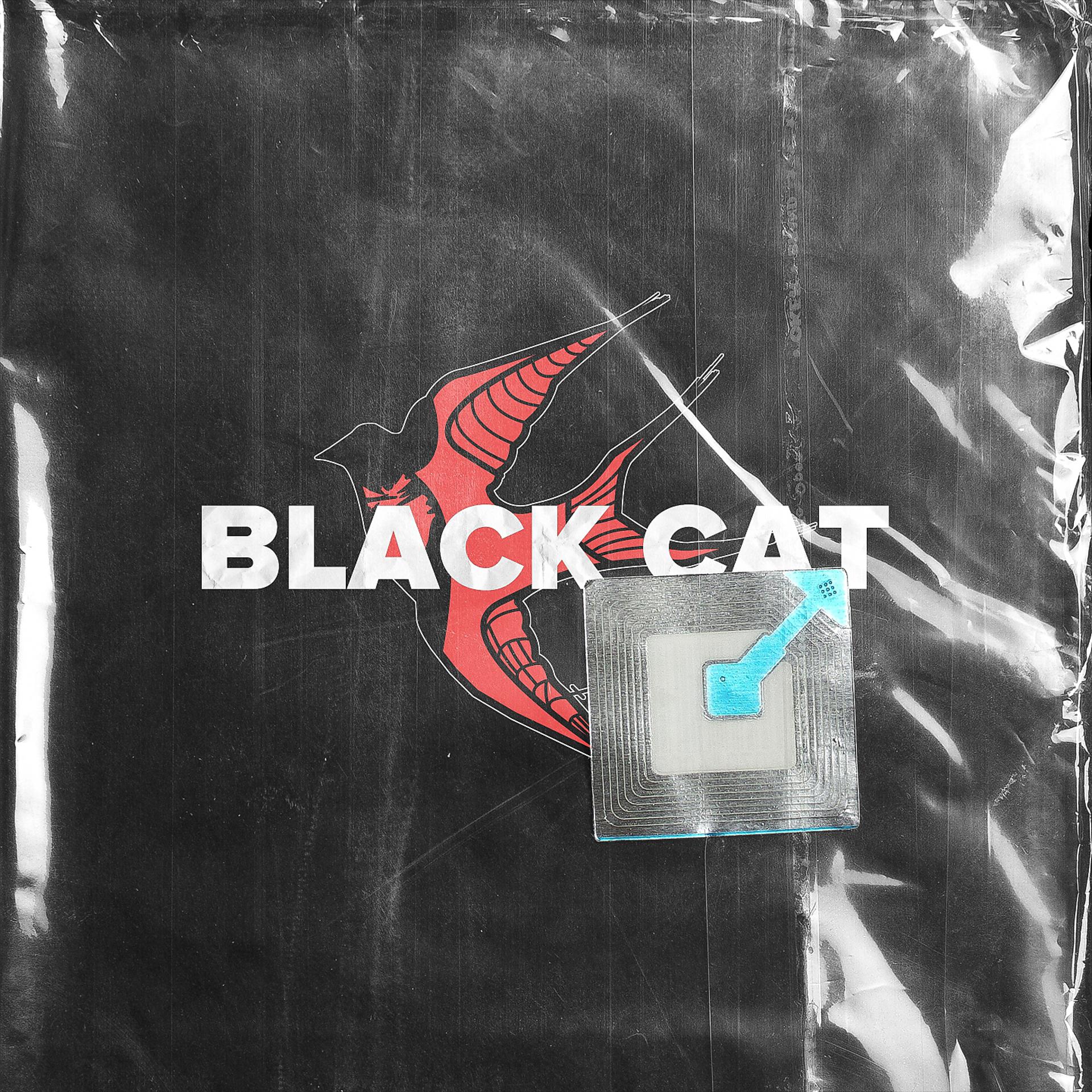 Постер альбома BLACK CAT