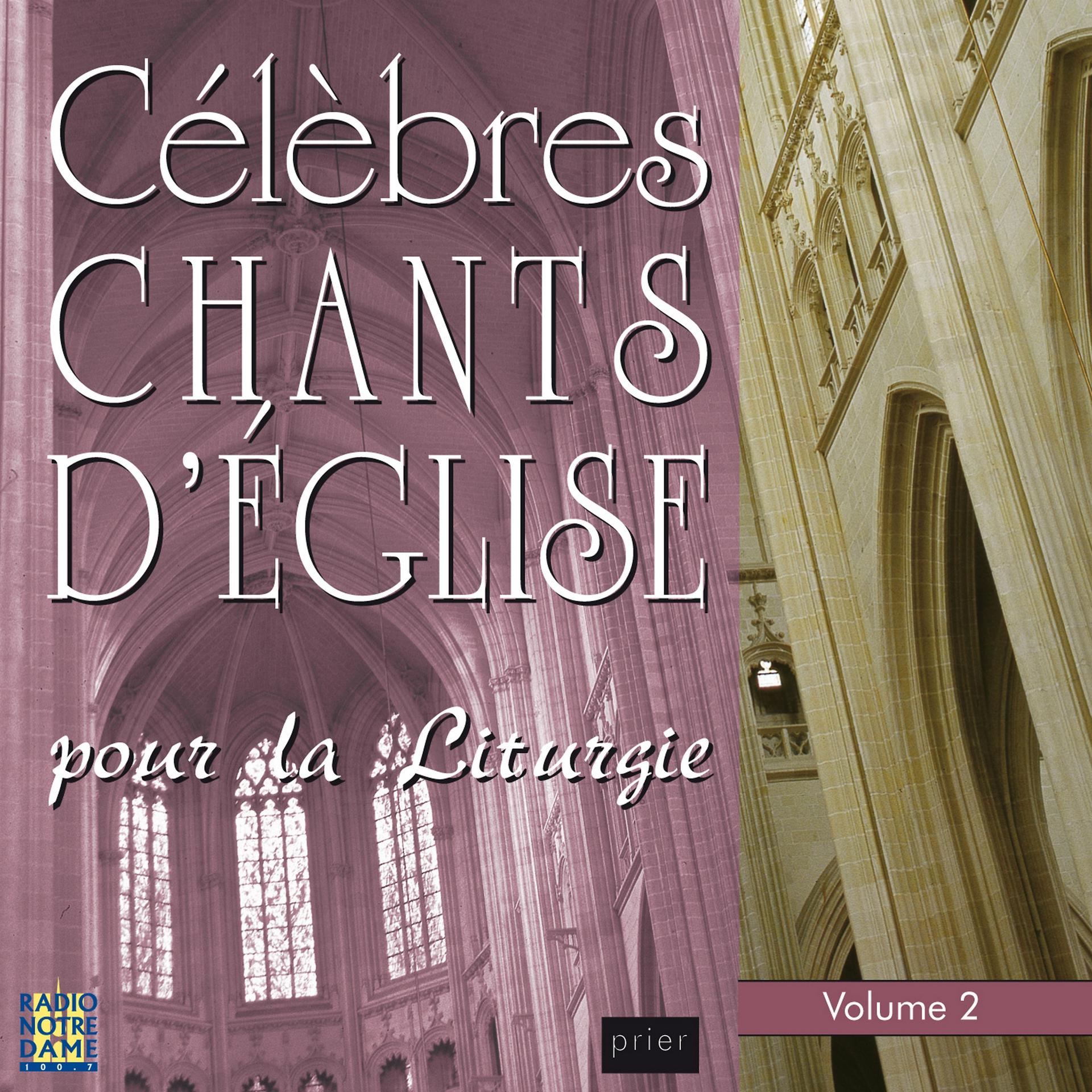 Постер альбома Célèbres chants d'église pour la liturgie, Vol. 2