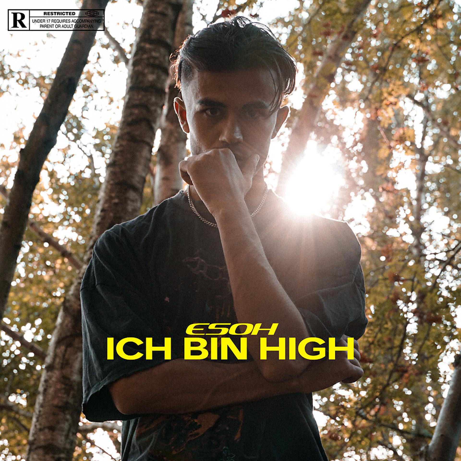 Постер альбома Ich bin high