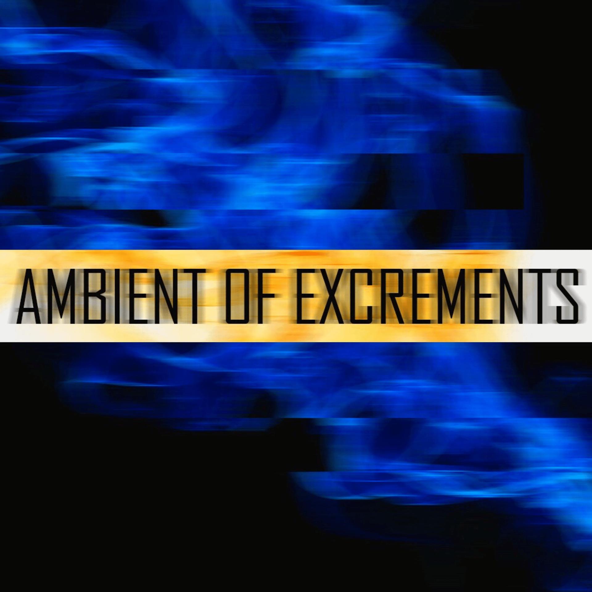 Постер альбома Ambient of Excrements