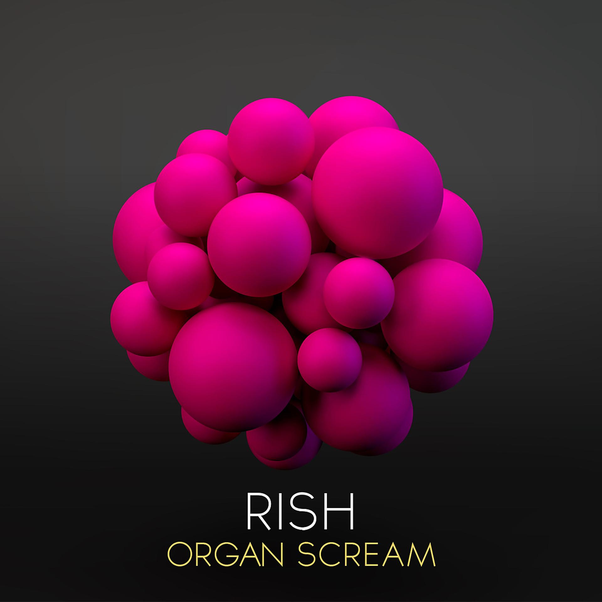 Постер альбома Organ Scream