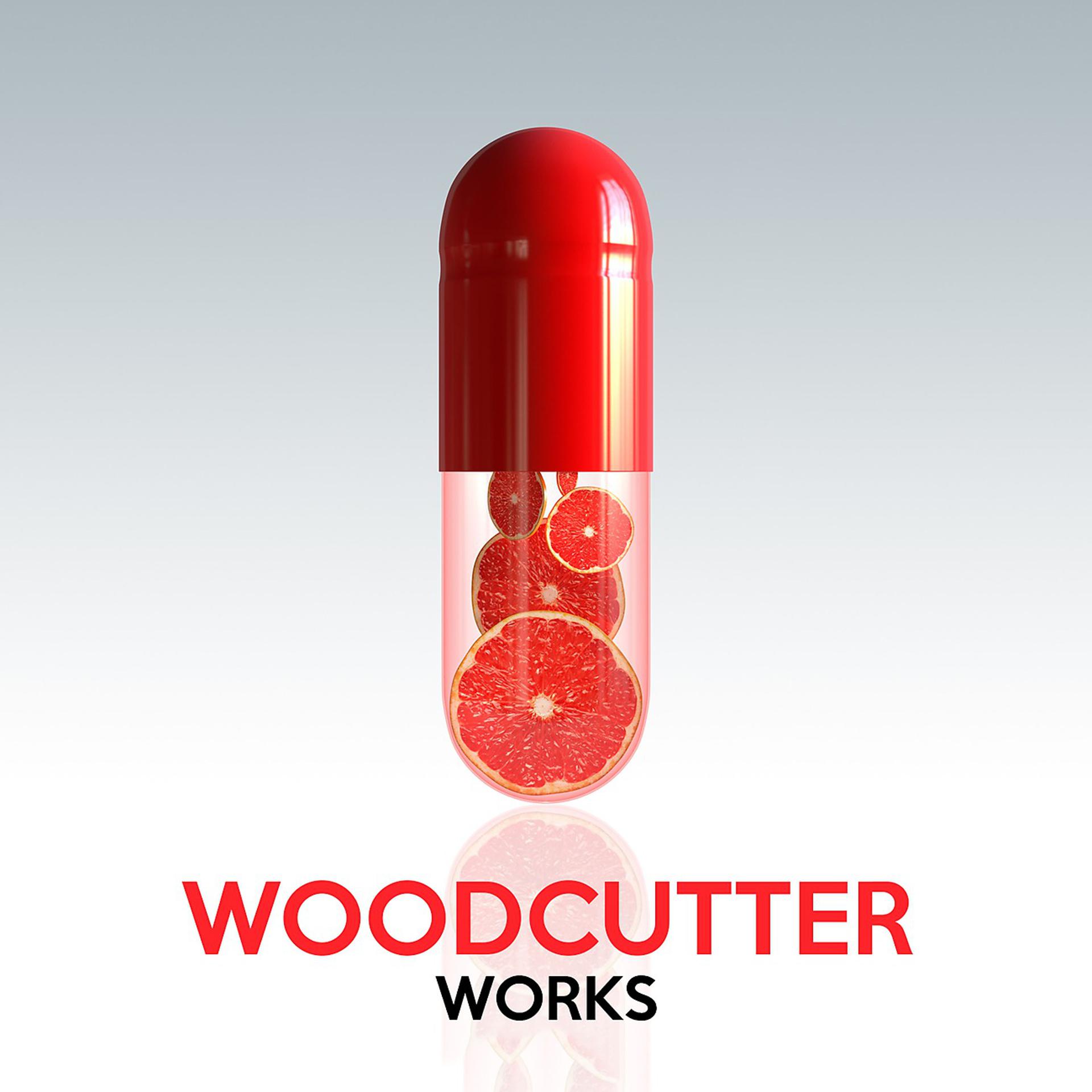 Постер альбома Woodcutter Works