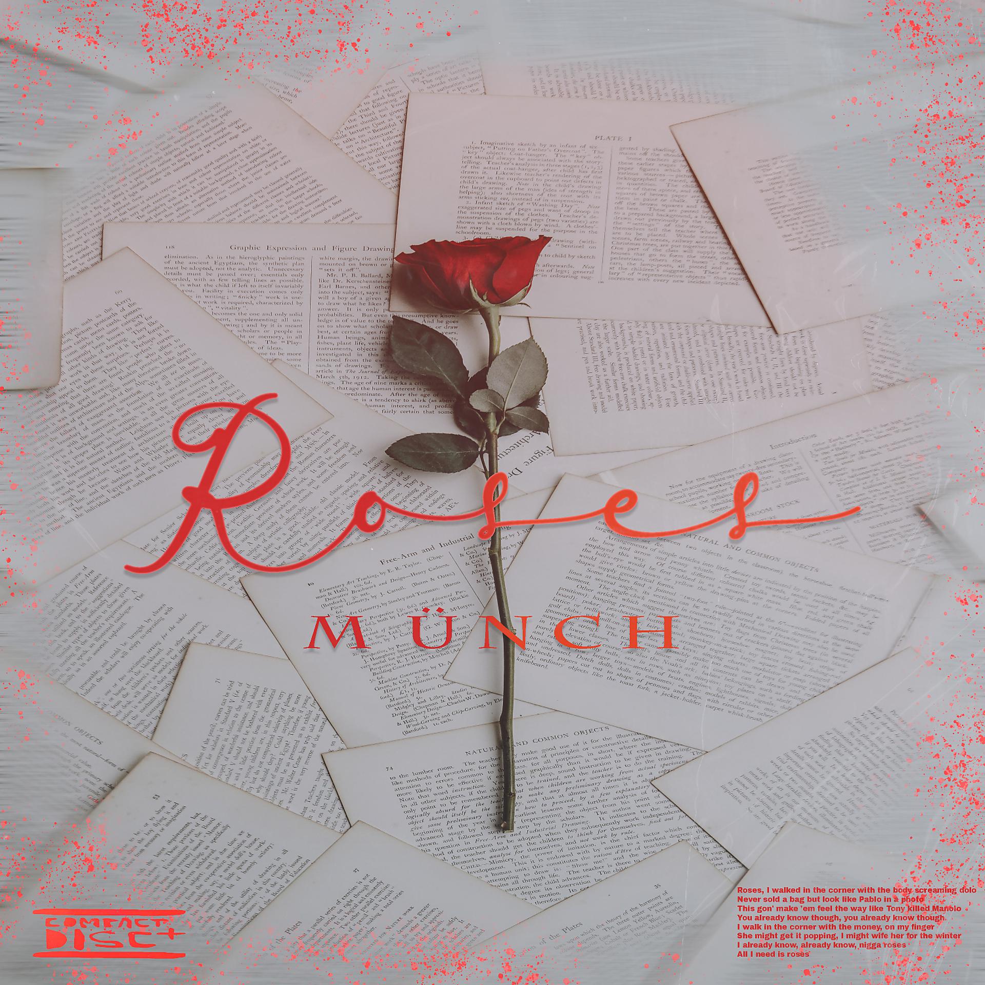 Постер альбома Roses (Remix)