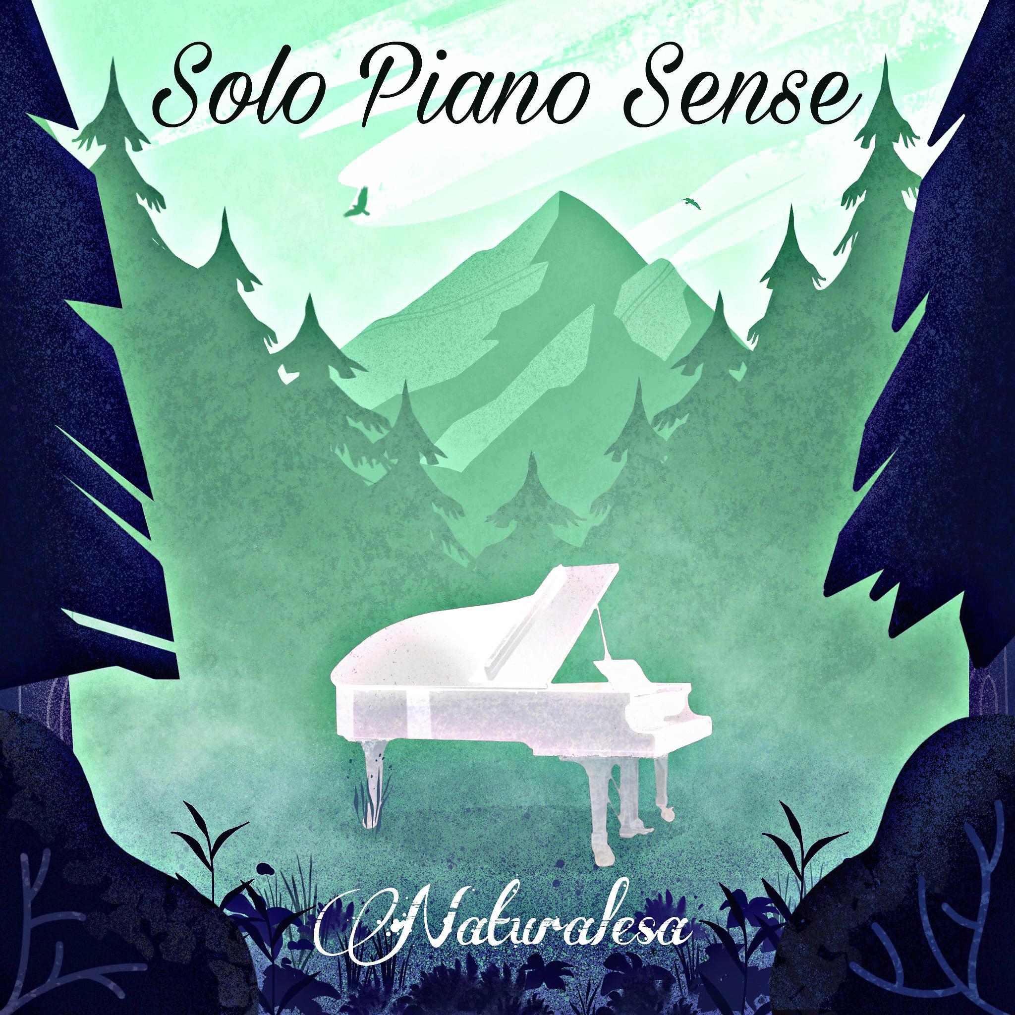 Постер альбома Solo Piano Sense
