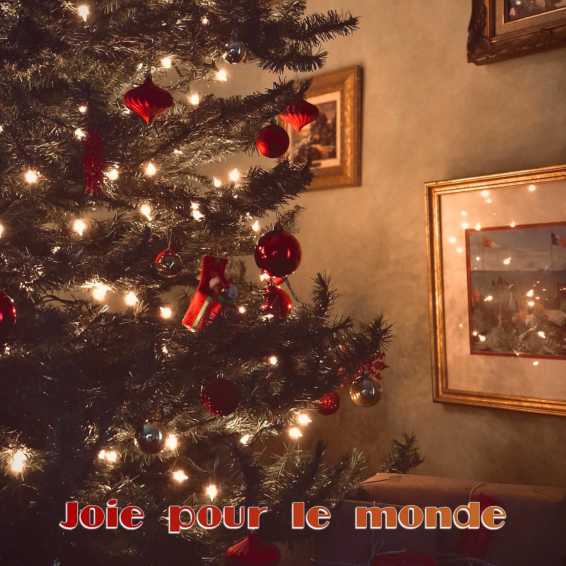 Постер альбома Joie pour le monde