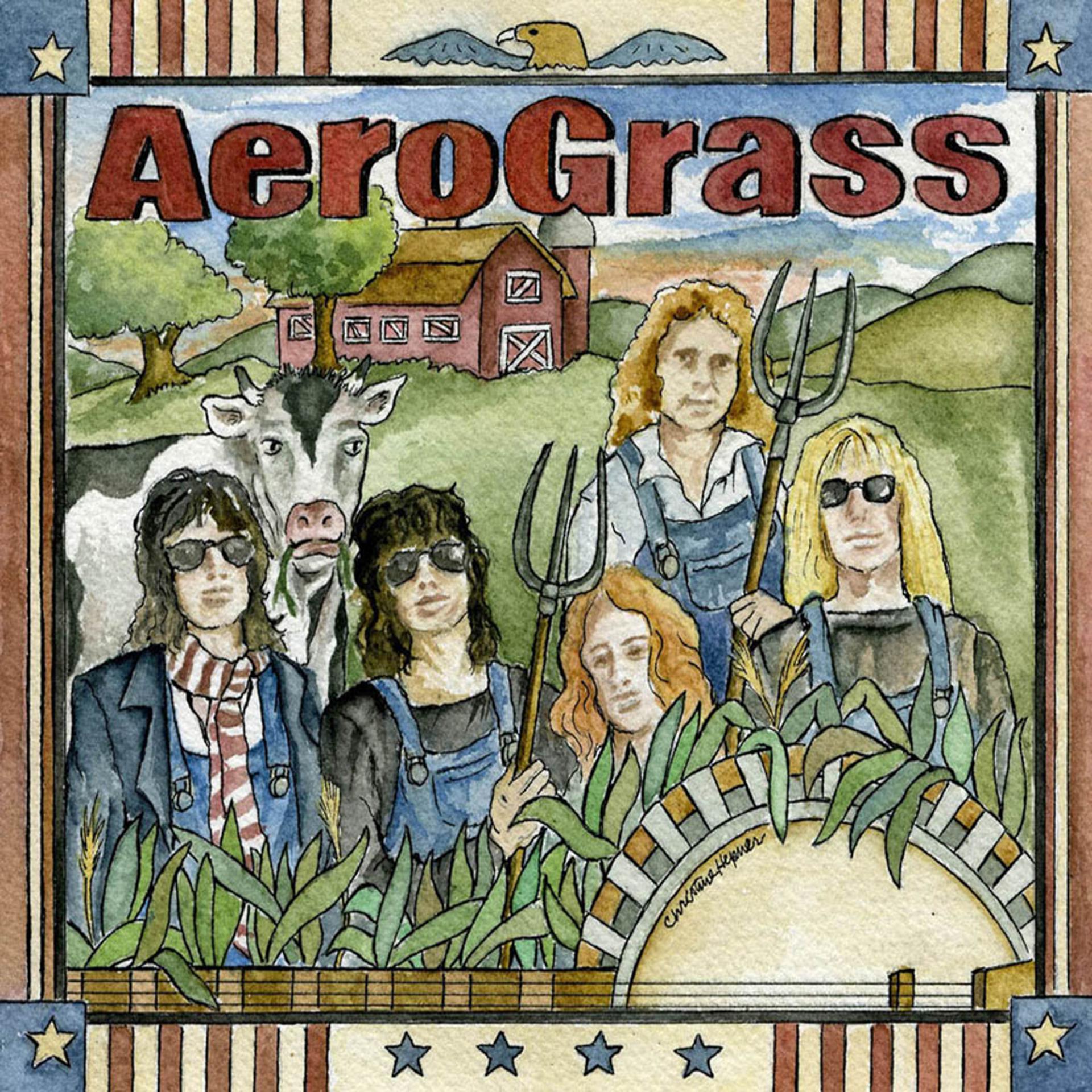 Постер альбома Aero Grass