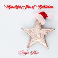 Постер альбома Beautiful Star of Bethlehem