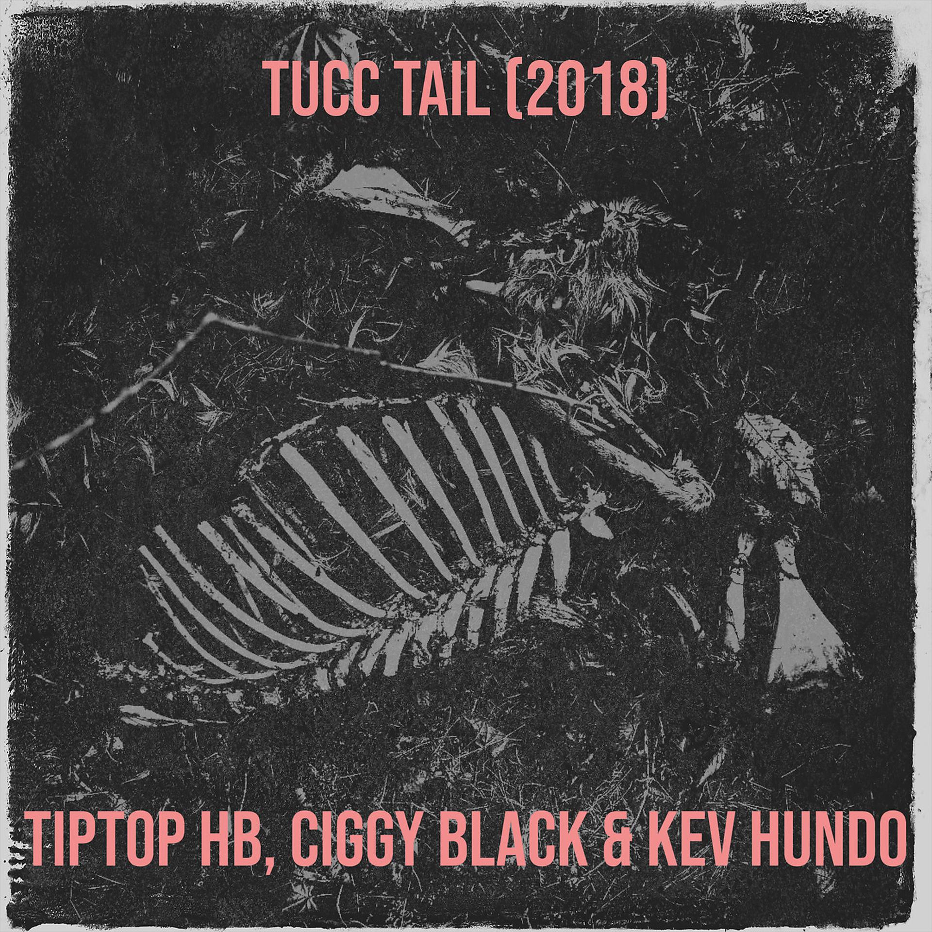 Постер альбома Tucc Tail (2018)