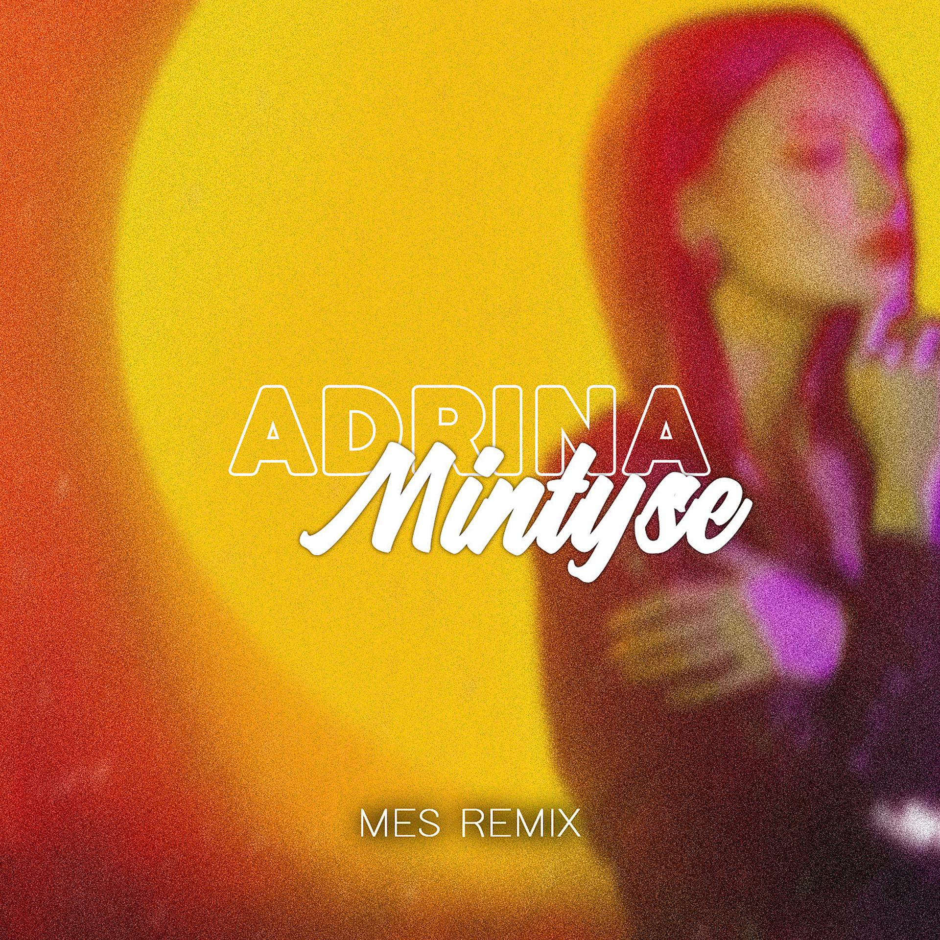 Постер альбома Mintyse (Remix)