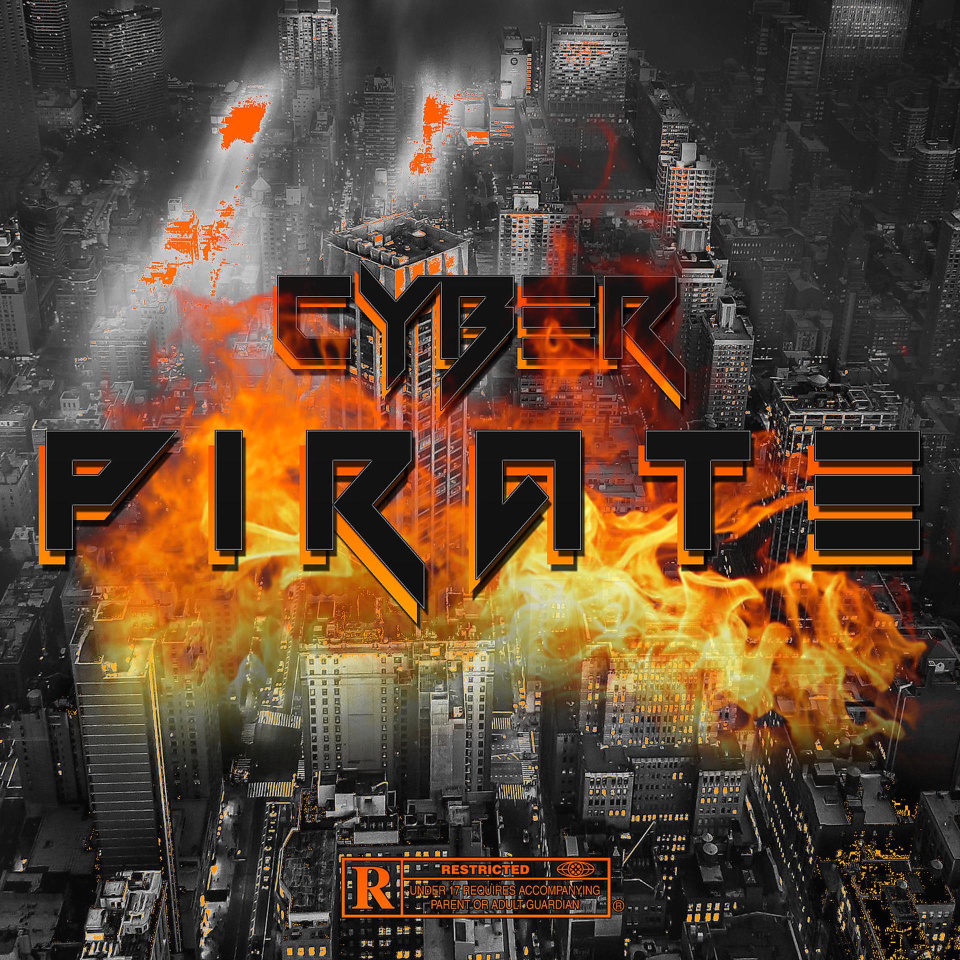 Постер альбома Cyber Pirate