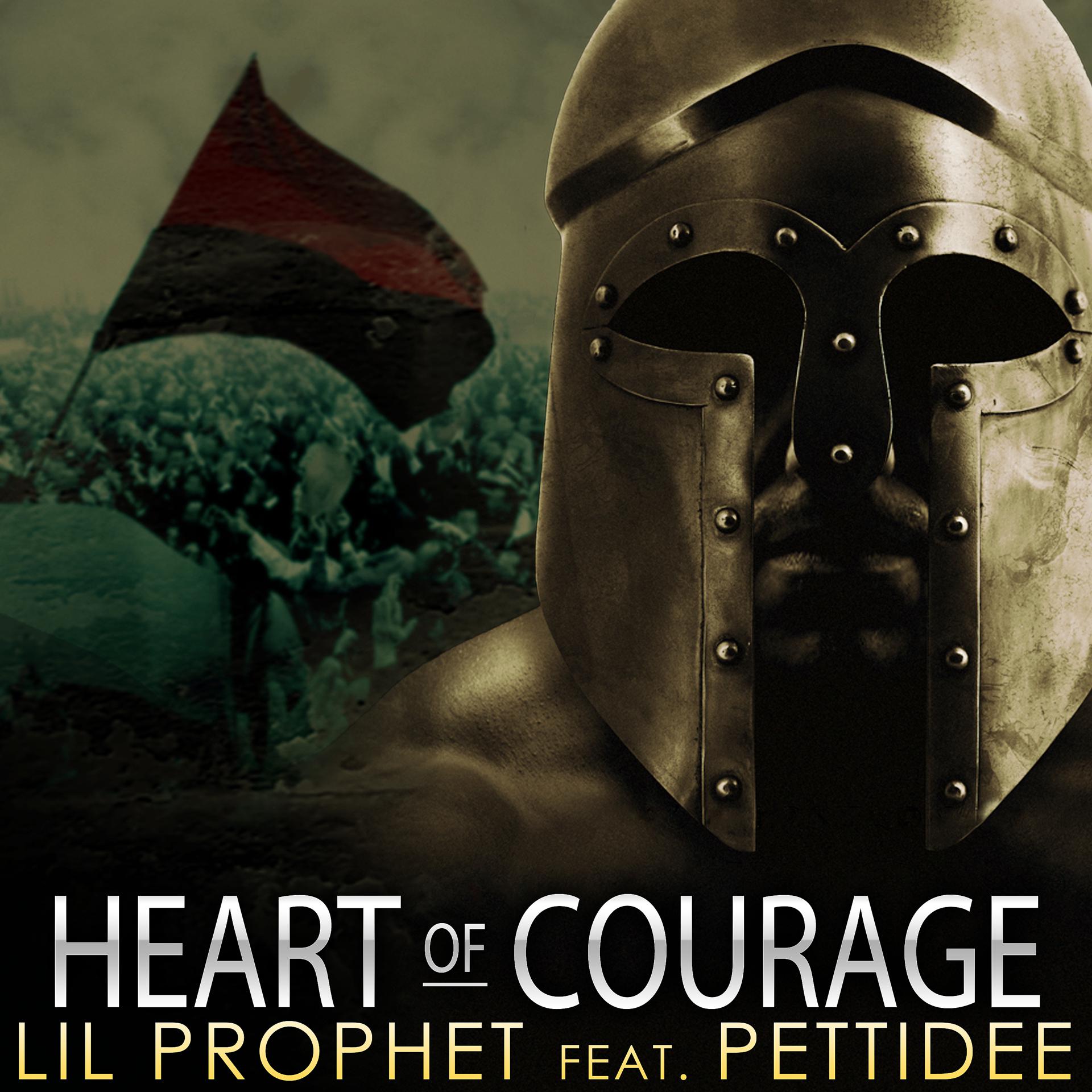 Постер альбома Heart of Courage (feat. Pettidee) - Single