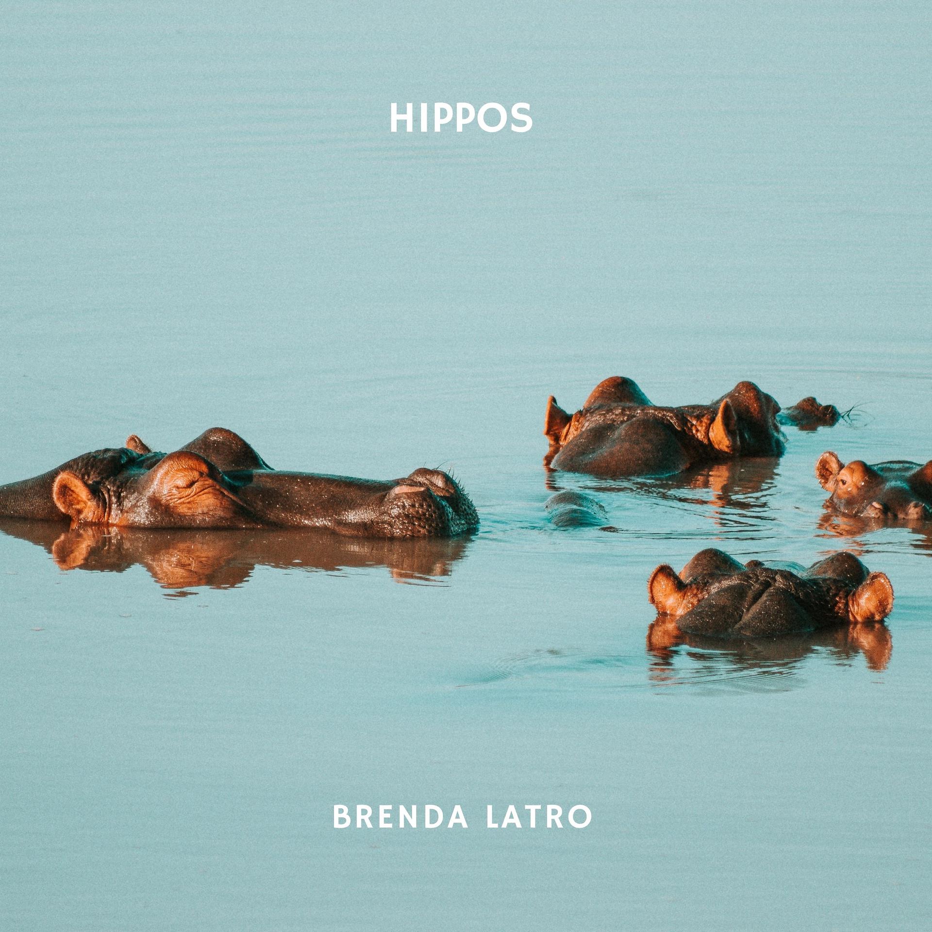 Постер альбома Hippos