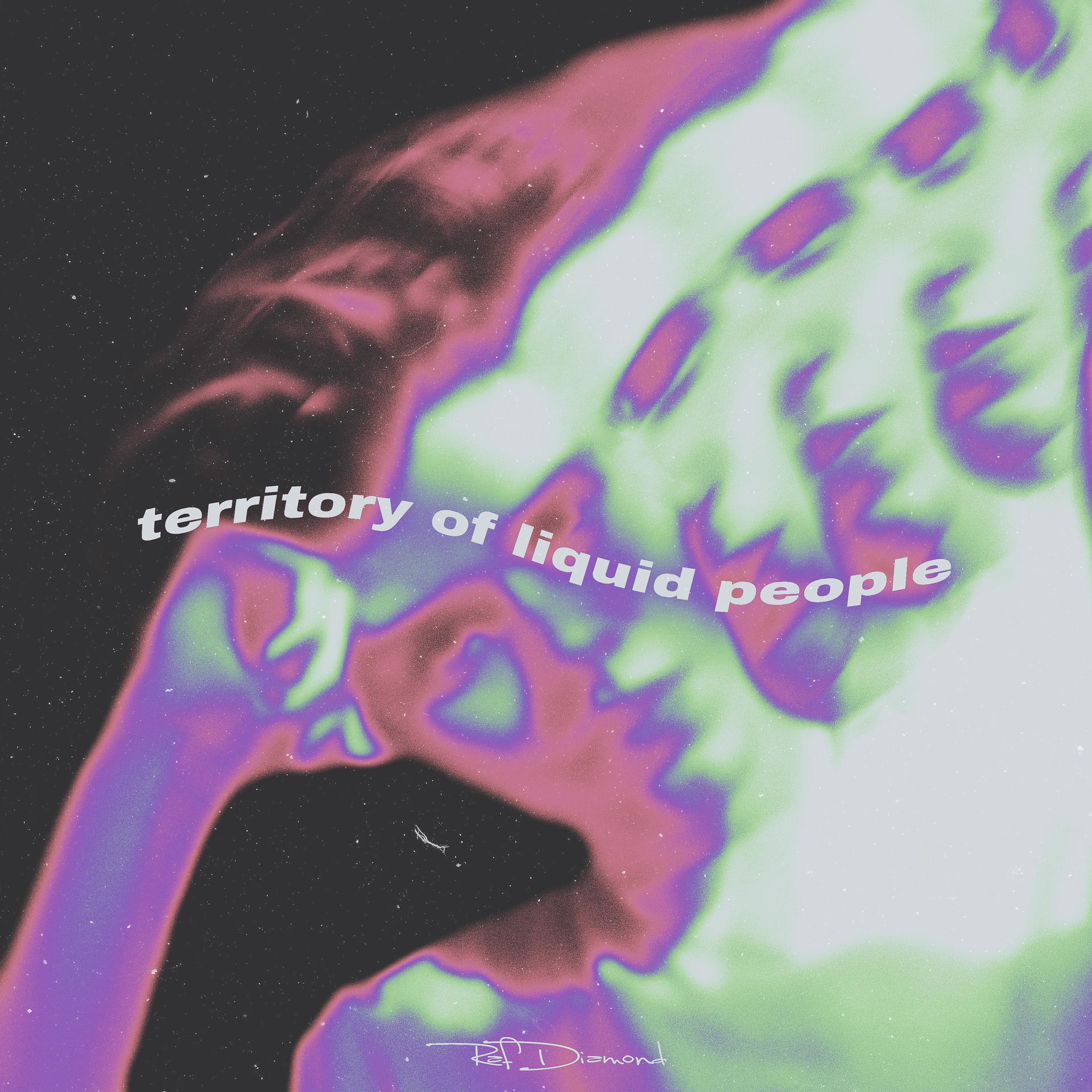 Постер альбома Territory of Liquid People