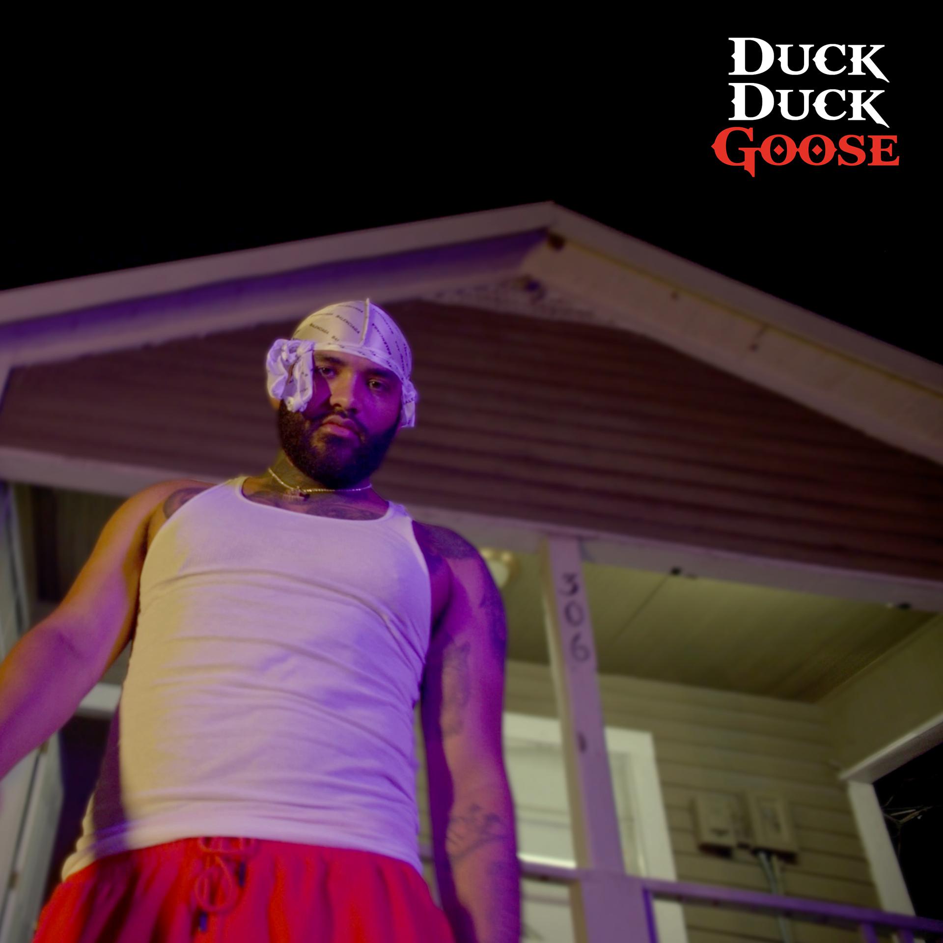 Постер альбома Duck Duck Goose