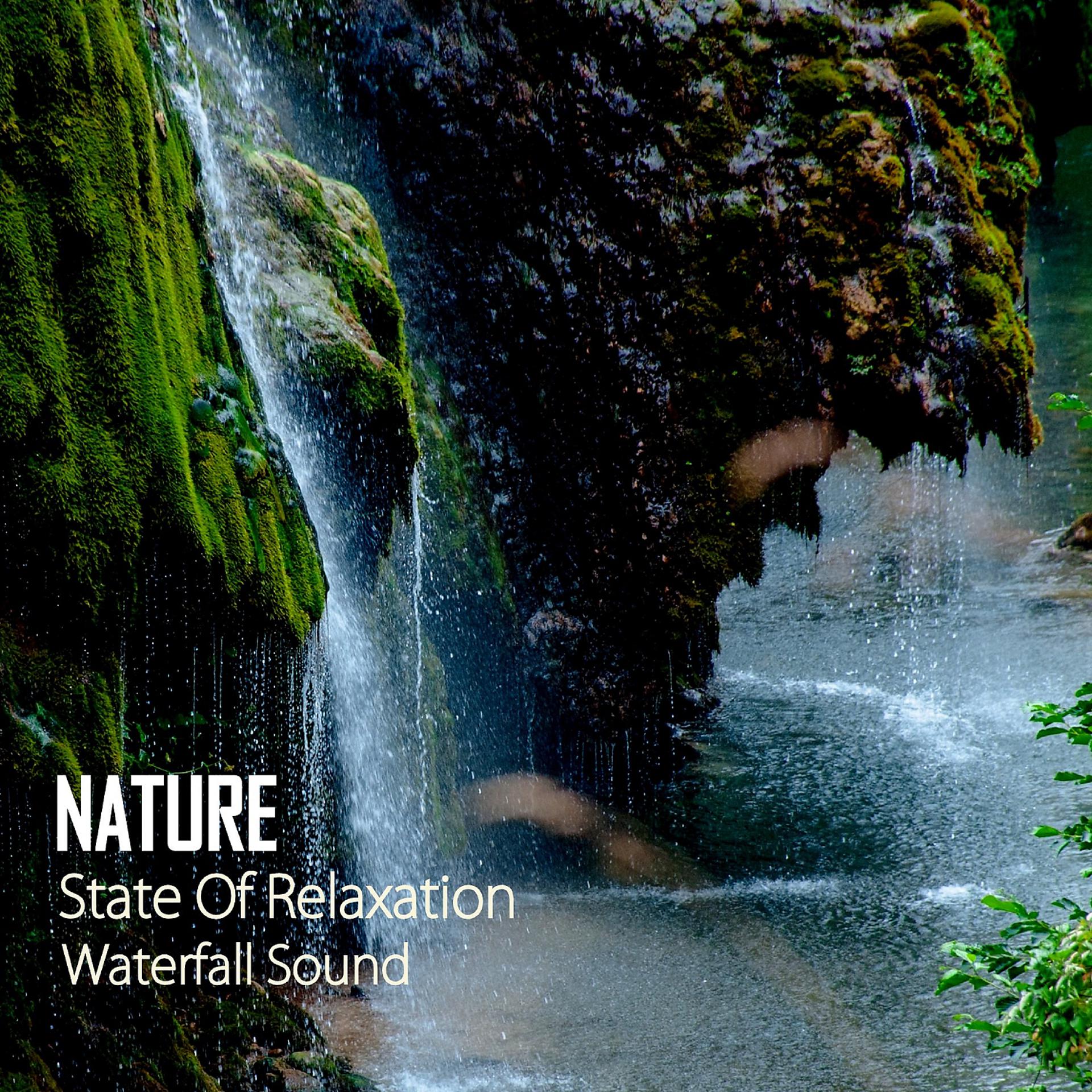 Постер альбома Nature: State Of Relaxation Waterfall Sound
