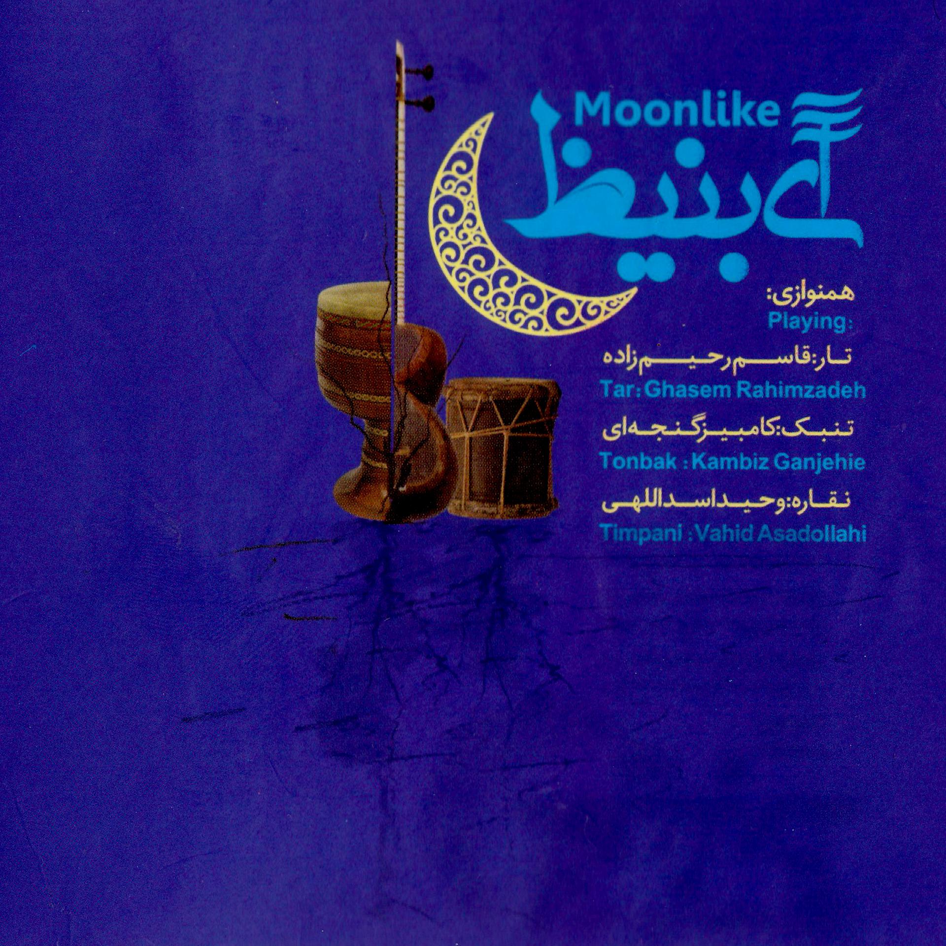 Постер альбома Moonlike