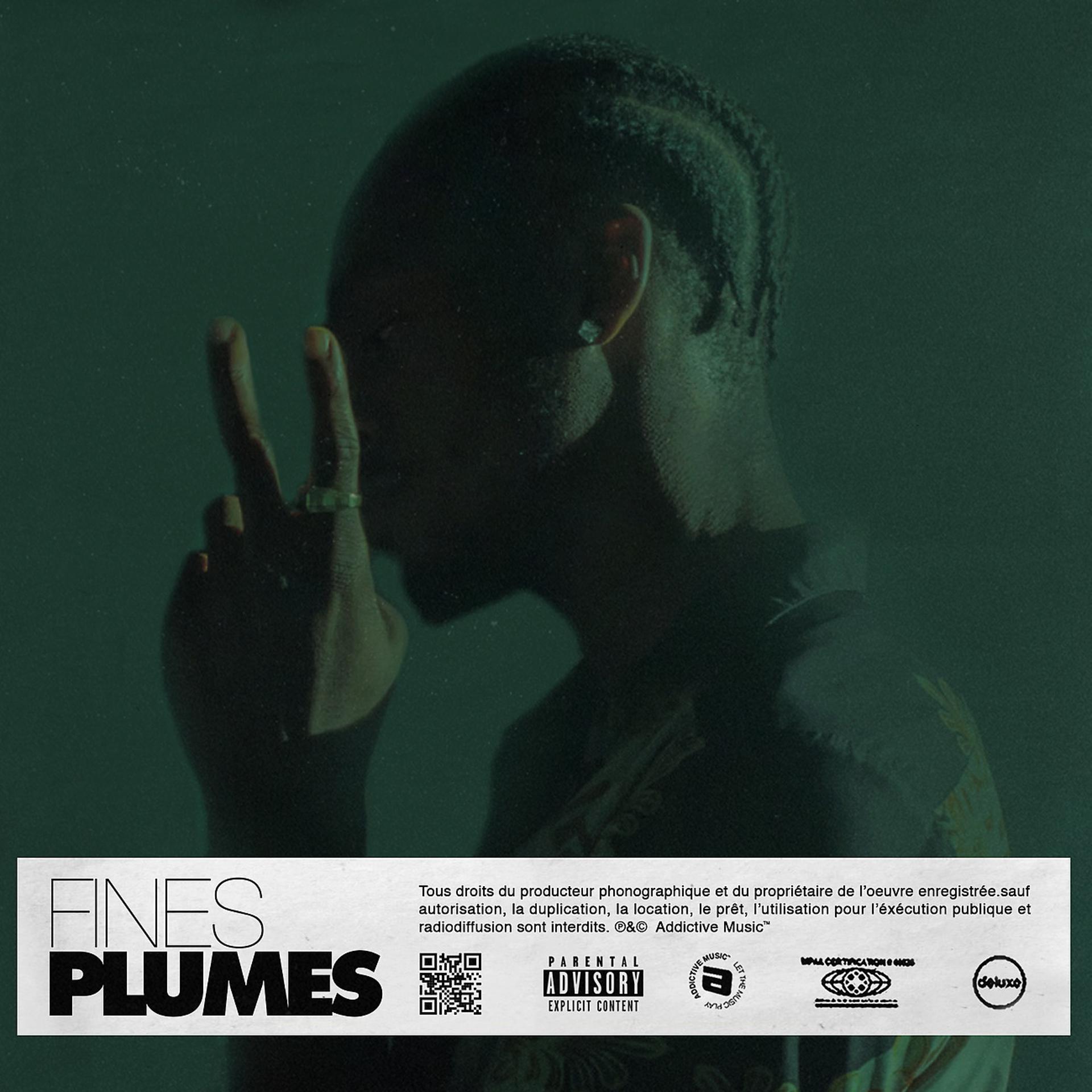 Постер альбома Fines plumes