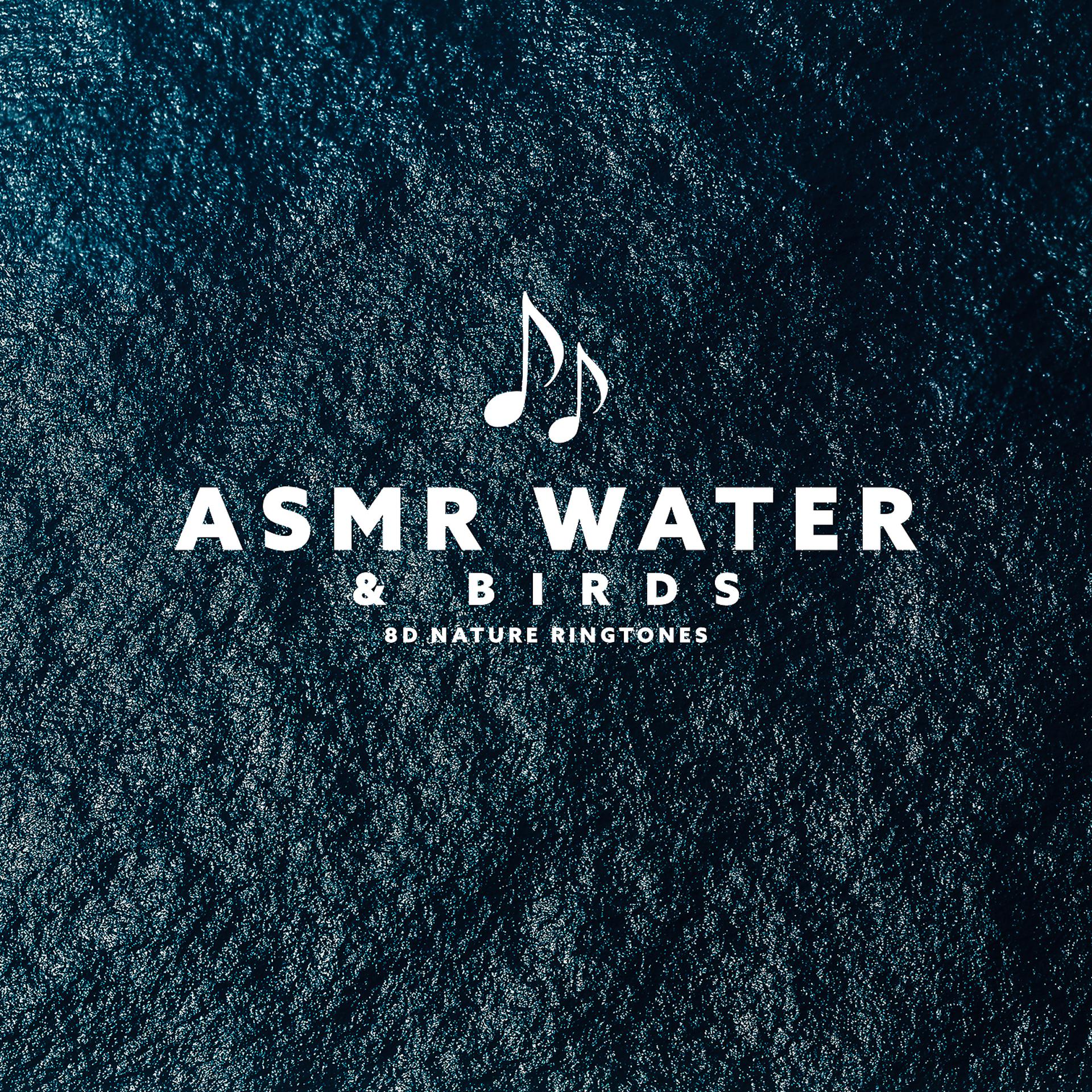 Постер альбома ASMR Water & Birds: 8D Nature Ringtones