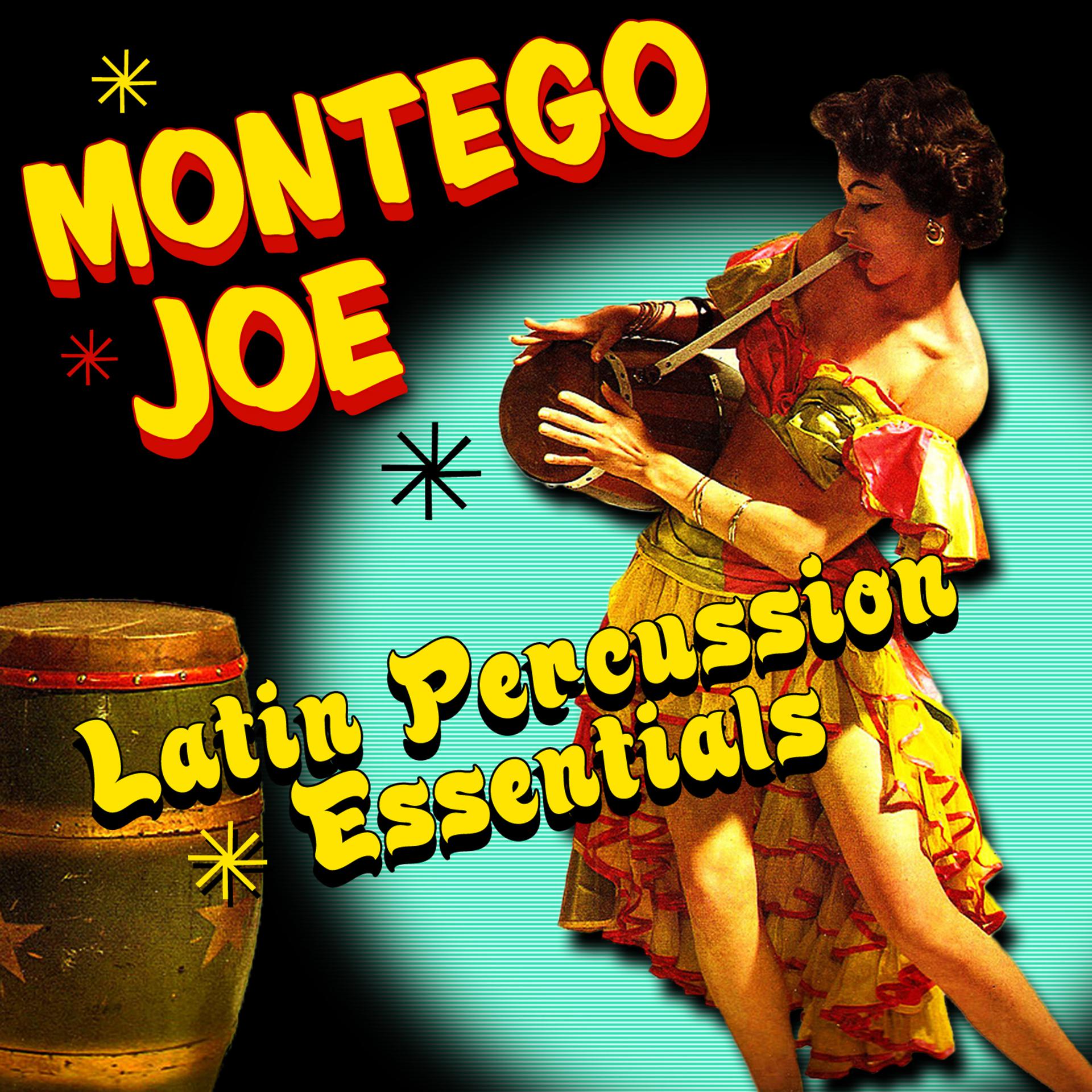 Постер альбома Latin Percussion Essentials